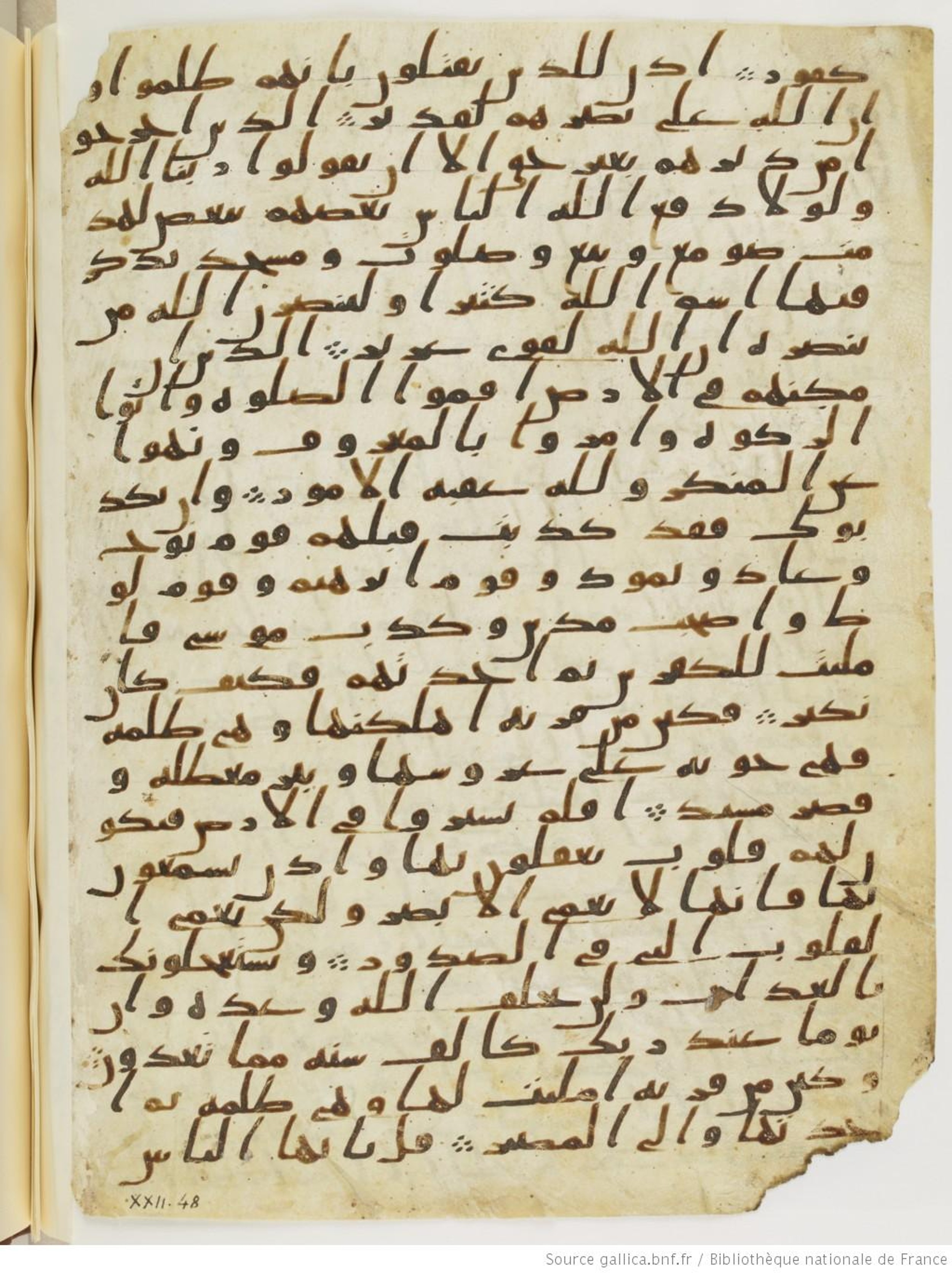 Paris, Bibliothèque nationale de France, Arabe 328 (c), in Ḥiǧāzī I script, showing Surah 22:39 from Late 6th to Mid-7th Century AD found in Fustat (Old Cairo), Egypt, currently housed at Bibliothèque nationale de France, Paris