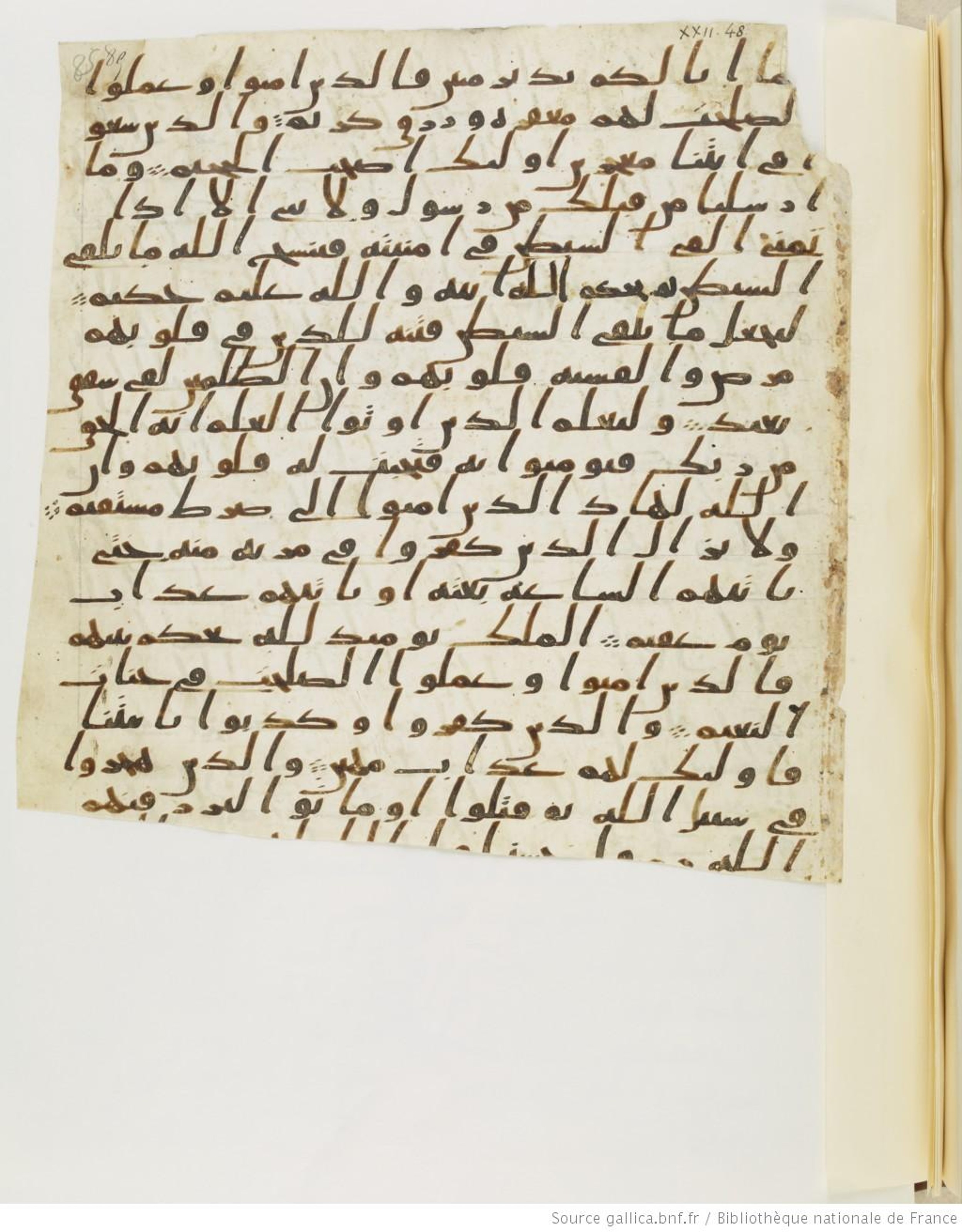Paris, Bibliothèque nationale de France, Arabe 328 (c) (Scan 3), in Ḥiǧāzī I script, showing Surah 22:49 from Late 6th to Mid-7th Century AD found in Fustat (Old Cairo), Egypt, currently housed at Bibliothèque nationale de France, Paris