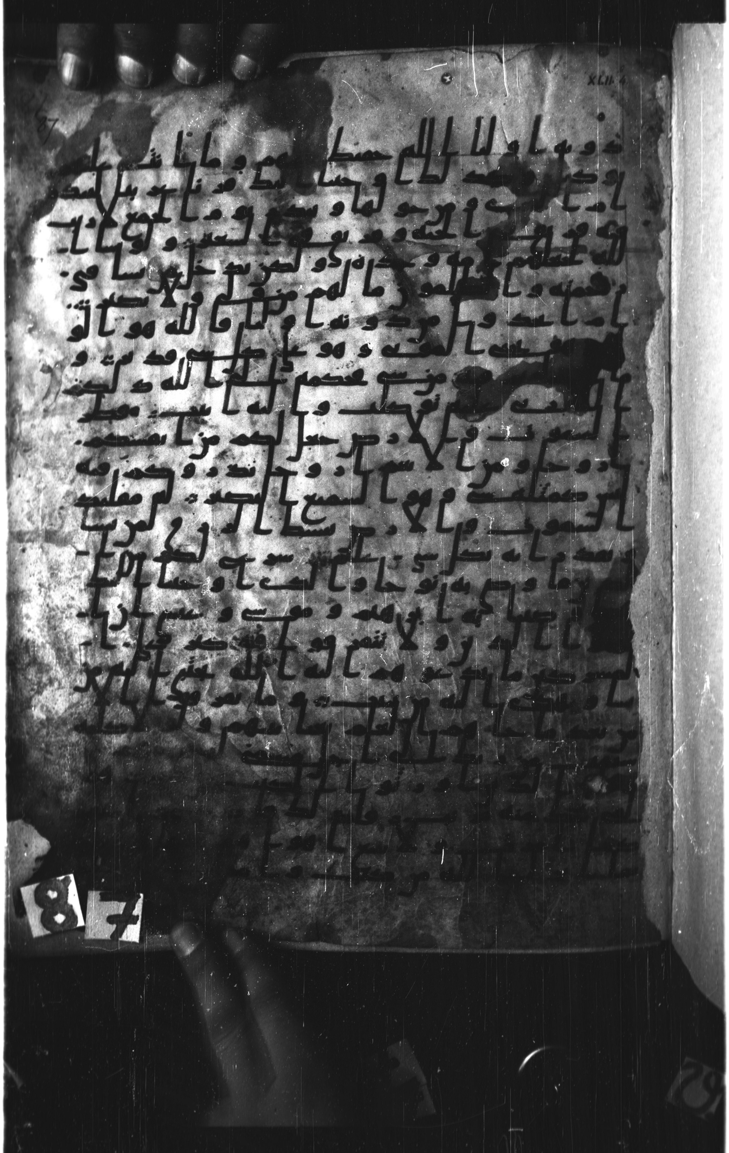 Paris, Bibliothèque nationale de France, Arabe 328 (d) (Scan 1), in Early Kufic (Type B I a) script, showing Surah 42:8 from 8th Century AD found in Fustat (Old Cairo), Egypt, currently housed at Bibliothèque nationale de France, Paris