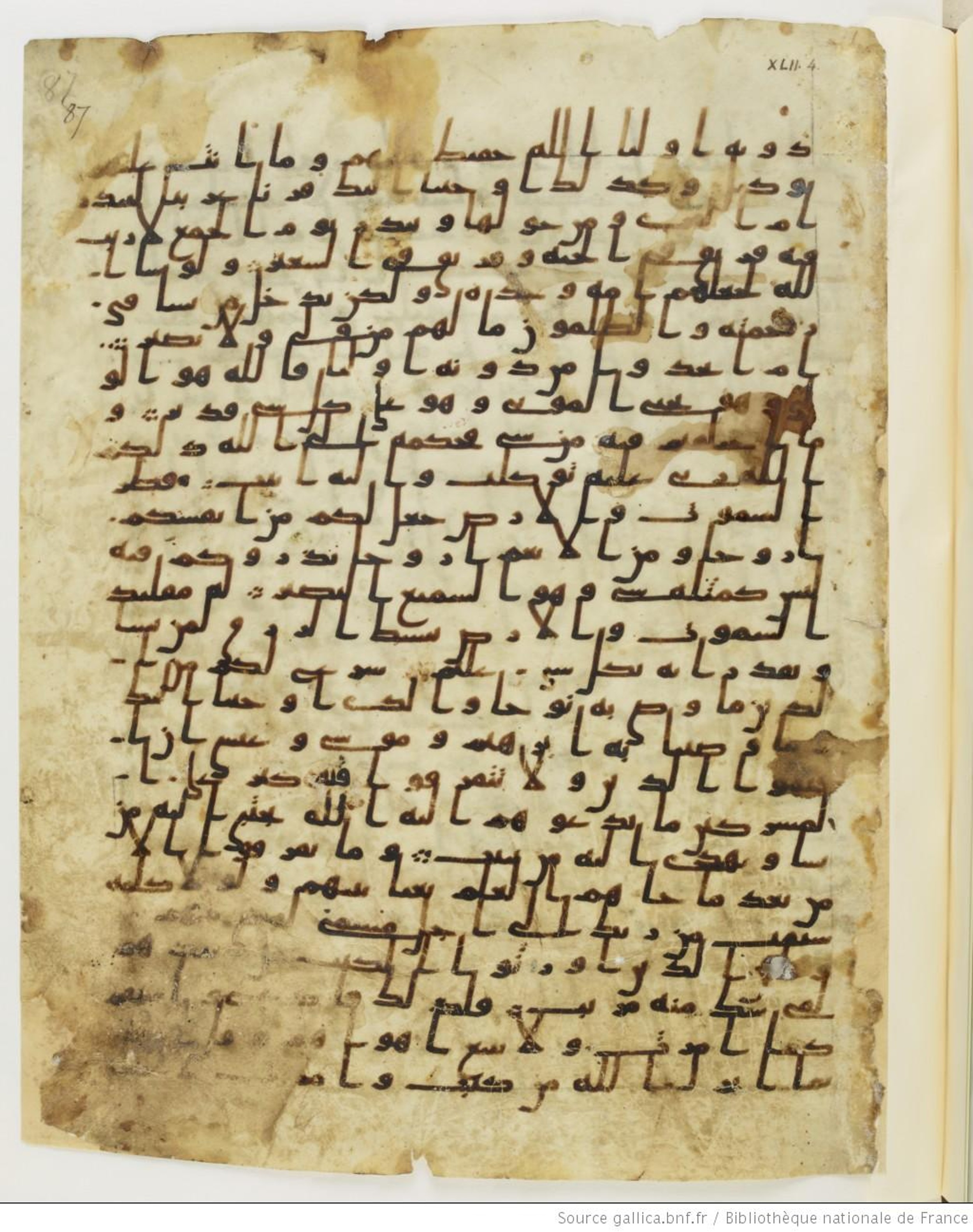 Paris, Bibliothèque nationale de France, Arabe 328 (d) (Scan 2), in Early Kufic (Type B I a) script, showing Surah 42:8 from 8th Century AD found in Fustat (Old Cairo), Egypt, currently housed at Bibliothèque nationale de France, Paris