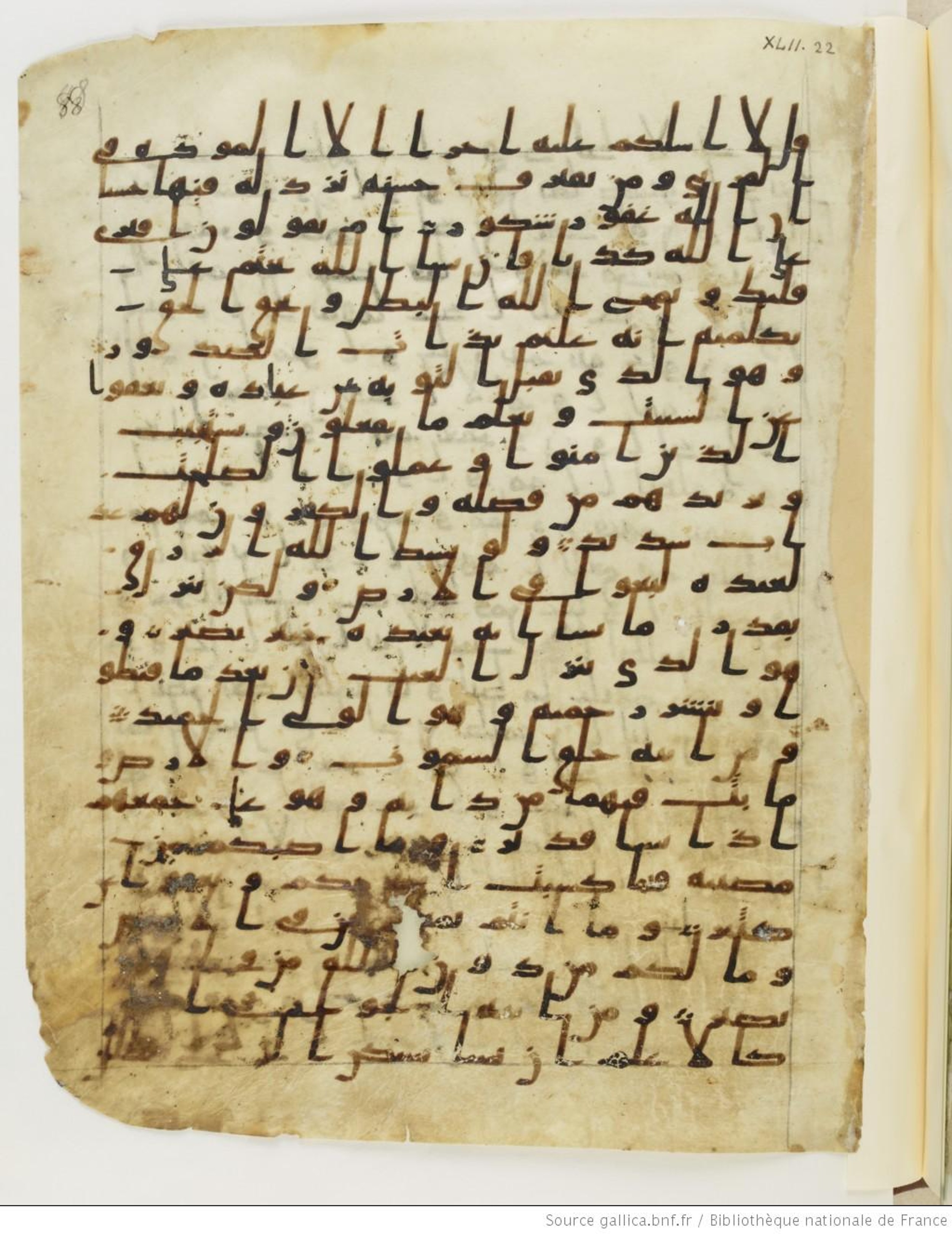 Paris, Bibliothèque nationale de France, Arabe 328 (d) (Scan 2), in Early Kufic (Type B I a) script, showing Surah 42:32 from 8th Century AD found in Fustat (Old Cairo), Egypt, currently housed at Bibliothèque nationale de France, Paris