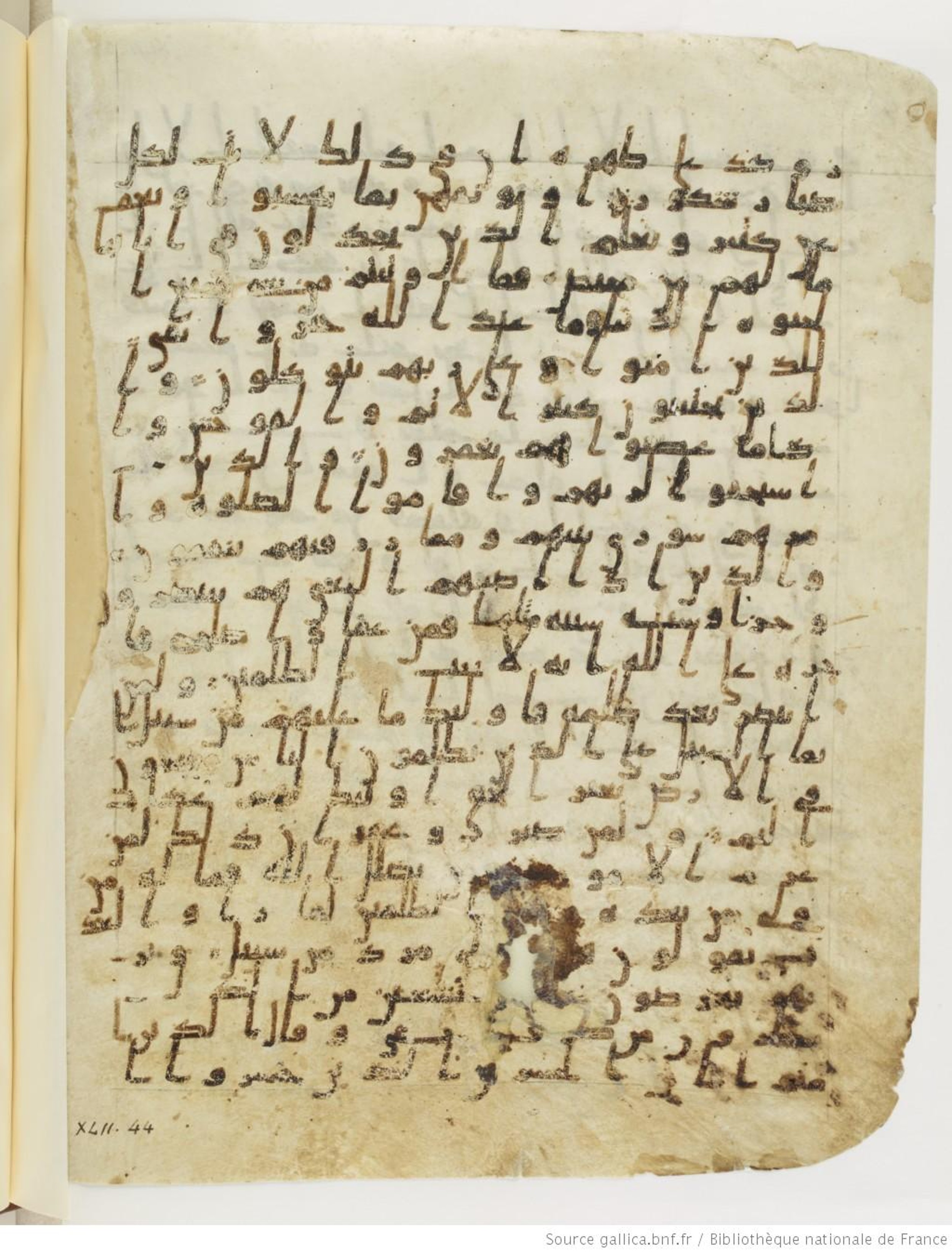 Paris, Bibliothèque nationale de France, Arabe 328 (d), in Early Kufic (Type B I a) script, showing Surah 42:39 from 8th Century AD found in Fustat (Old Cairo), Egypt, currently housed at Bibliothèque nationale de France, Paris