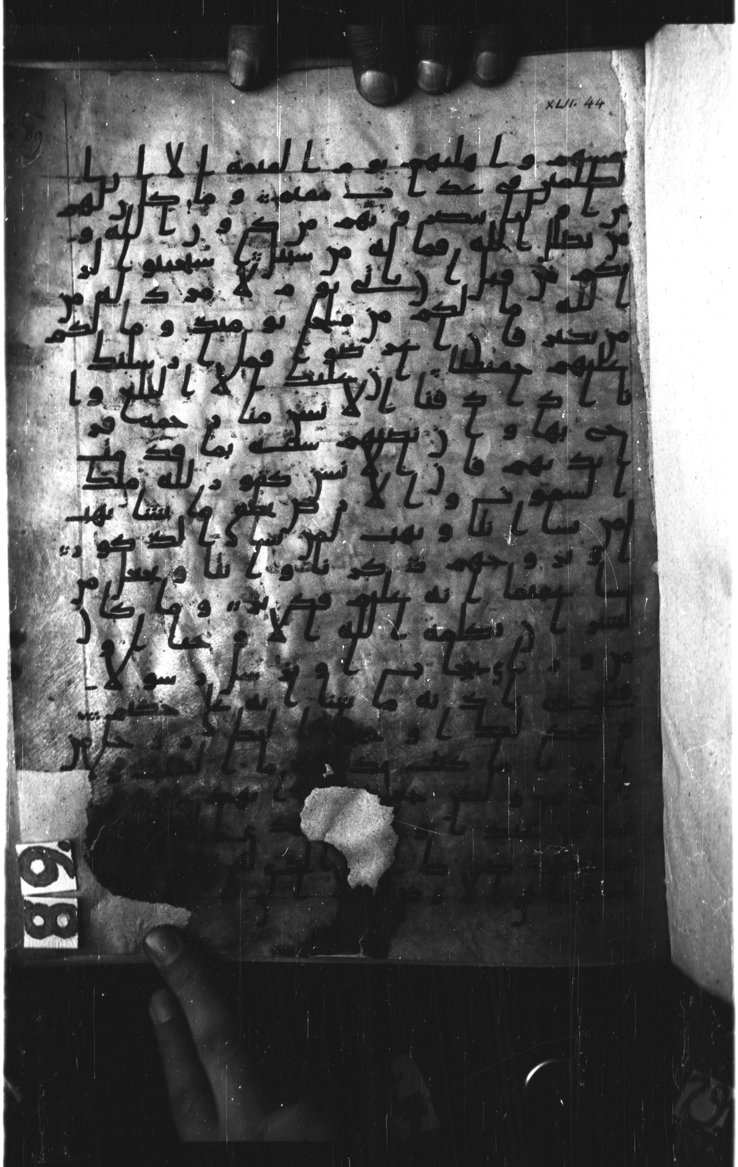 Paris, Bibliothèque nationale de France, Arabe 328 (d) (Scan 1), in Early Kufic (Type B I a) script, showing Surah 42:49 from 8th Century AD found in Fustat (Old Cairo), Egypt, currently housed at Bibliothèque nationale de France, Paris