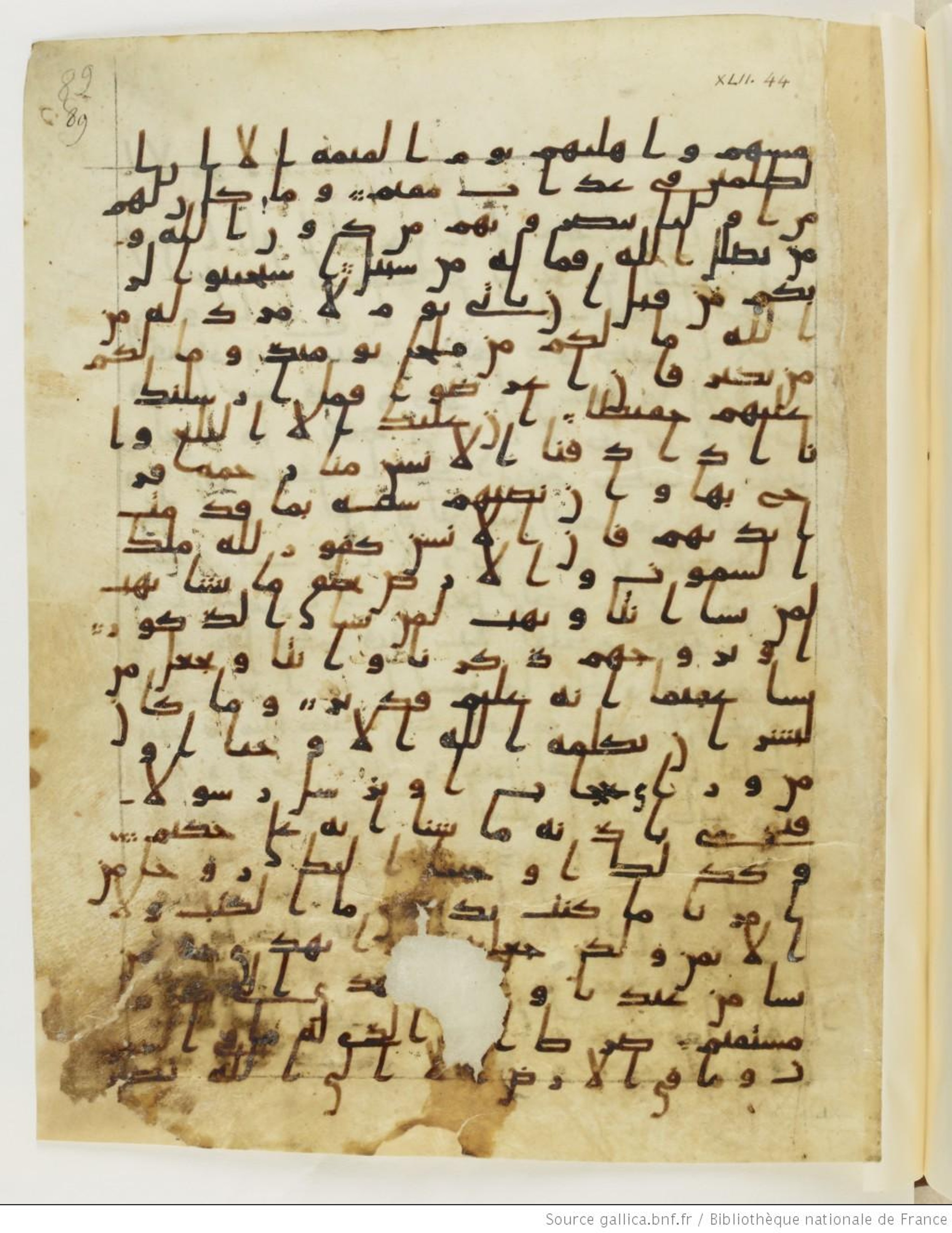Paris, Bibliothèque nationale de France, Arabe 328 (d) (Scan 2), in Early Kufic (Type B I a) script, showing Surah 42:49 from 8th Century AD found in Fustat (Old Cairo), Egypt, currently housed at Bibliothèque nationale de France, Paris