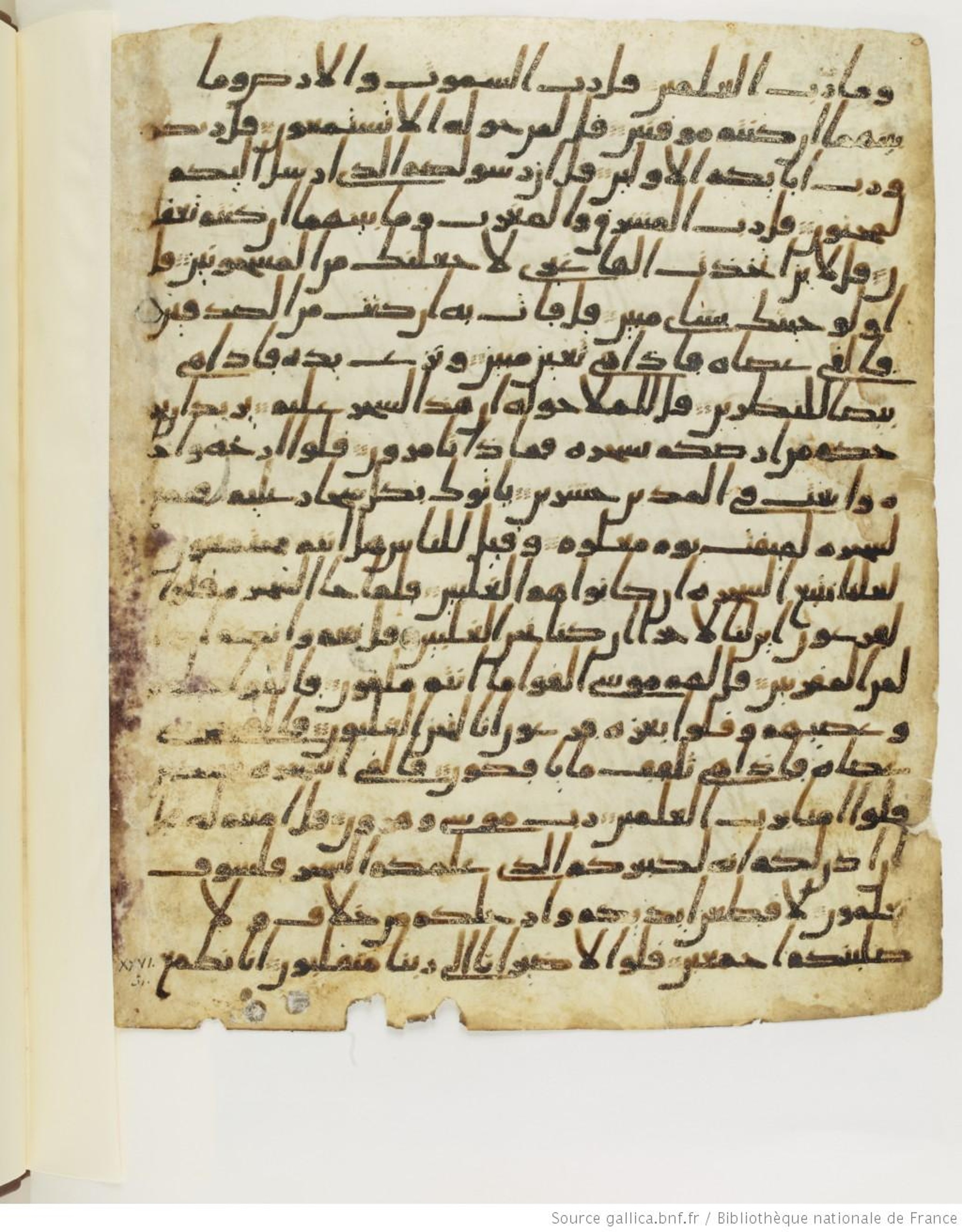 Paris, Bibliothèque nationale de France, Arabe 328 (f) (Scan 2), in ḥiǧāzī I script, showing Surah 26:39 from Mid to Late 7th Century AD found in Fustat (Old Cairo), Egypt, currently housed at Bibliothèque nationale de France, Paris