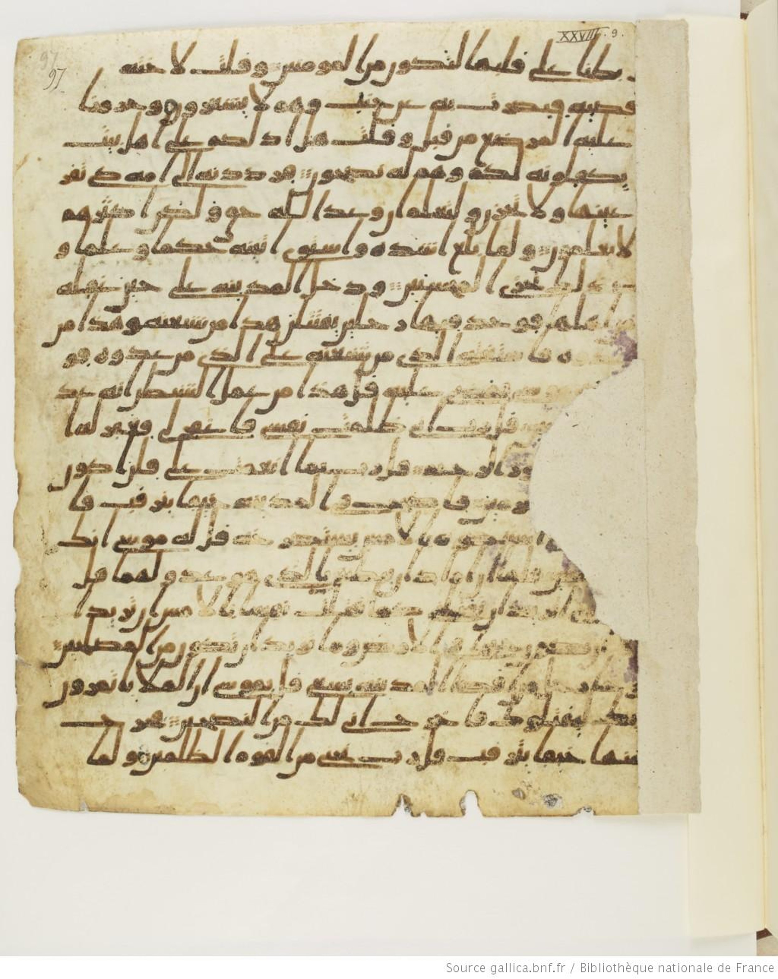 Paris, Bibliothèque nationale de France, Arabe 328 (f) (Scan 2), in ḥiǧāzī I script, showing Surah 28:16 from Mid to Late 7th Century AD found in Fustat (Old Cairo), Egypt, currently housed at Bibliothèque nationale de France, Paris