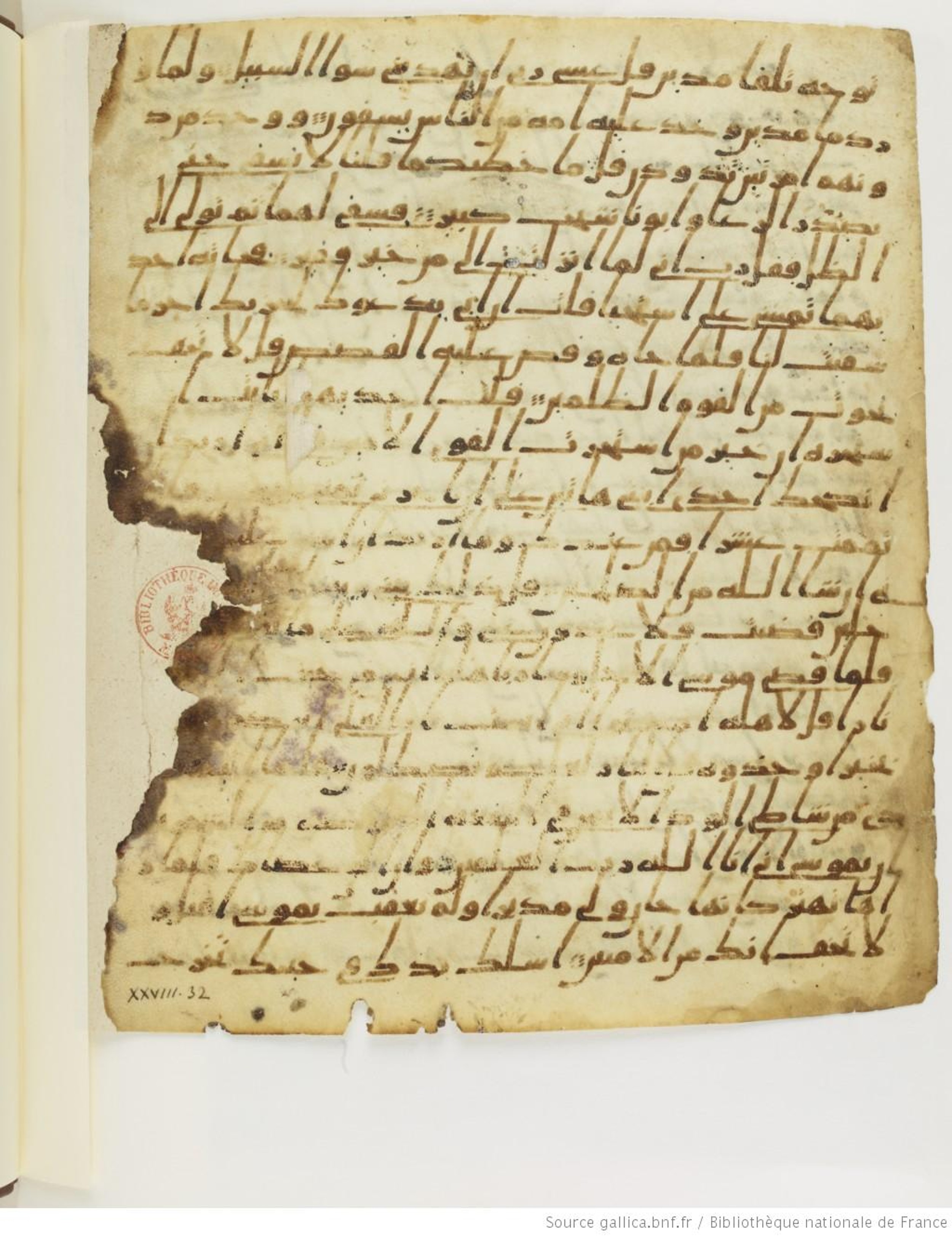Paris, Bibliothèque nationale de France, Arabe 328 (f) (Scan 2), in ḥiǧāzī I script, showing Surah 28:32 from Mid to Late 7th Century AD found in Fustat (Old Cairo), Egypt, currently housed at Bibliothèque nationale de France, Paris
