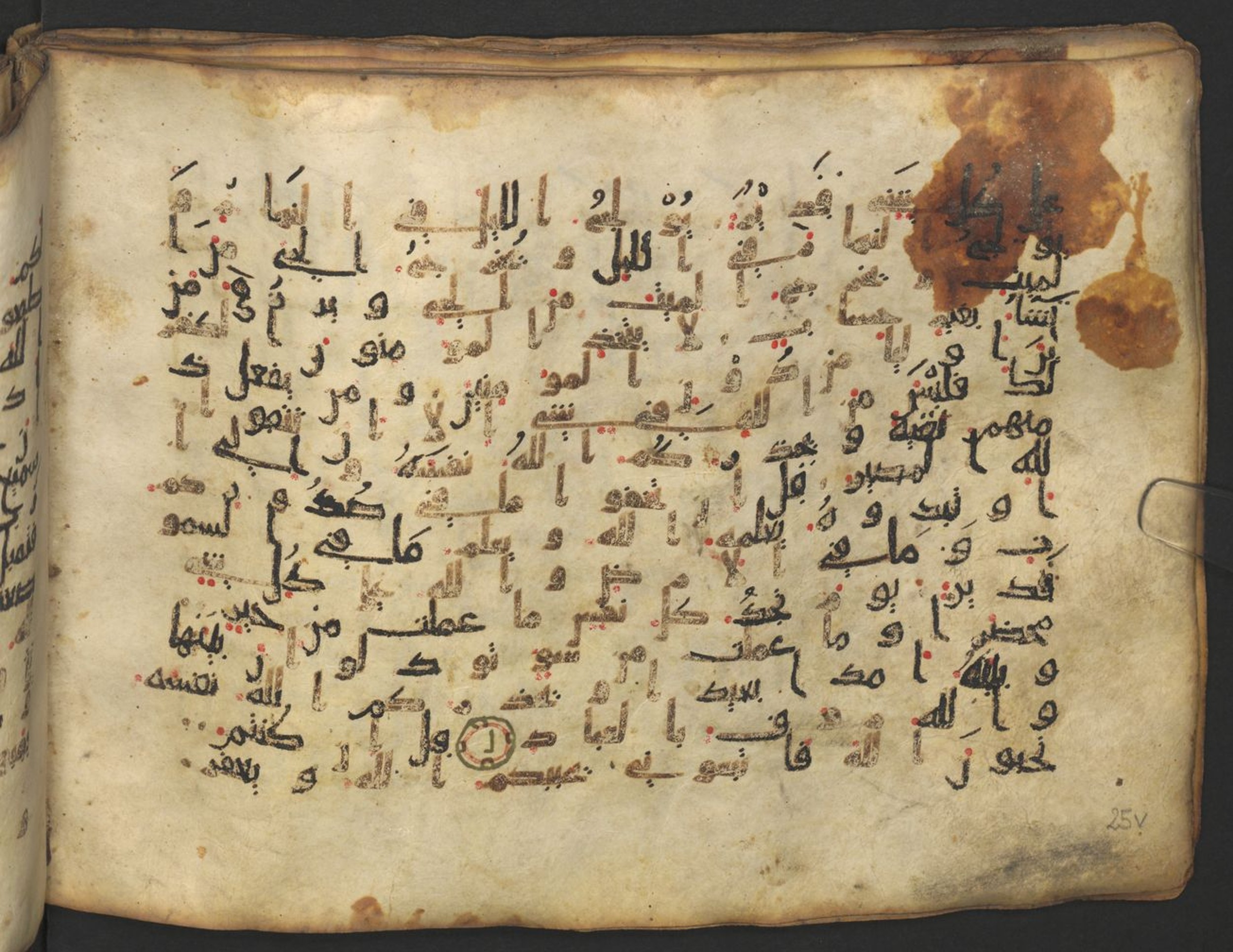 Vienna, Österreichische Nationalbibliothek, Cod. mixt. 917, in kūfī (type B.II) script, showing Surah 3:29 from Early to Mid 8th Century AD found in Unknown (Provenance: Sultanate of Rum), currently housed at Österreichische Nationalbibliothek, Vienna