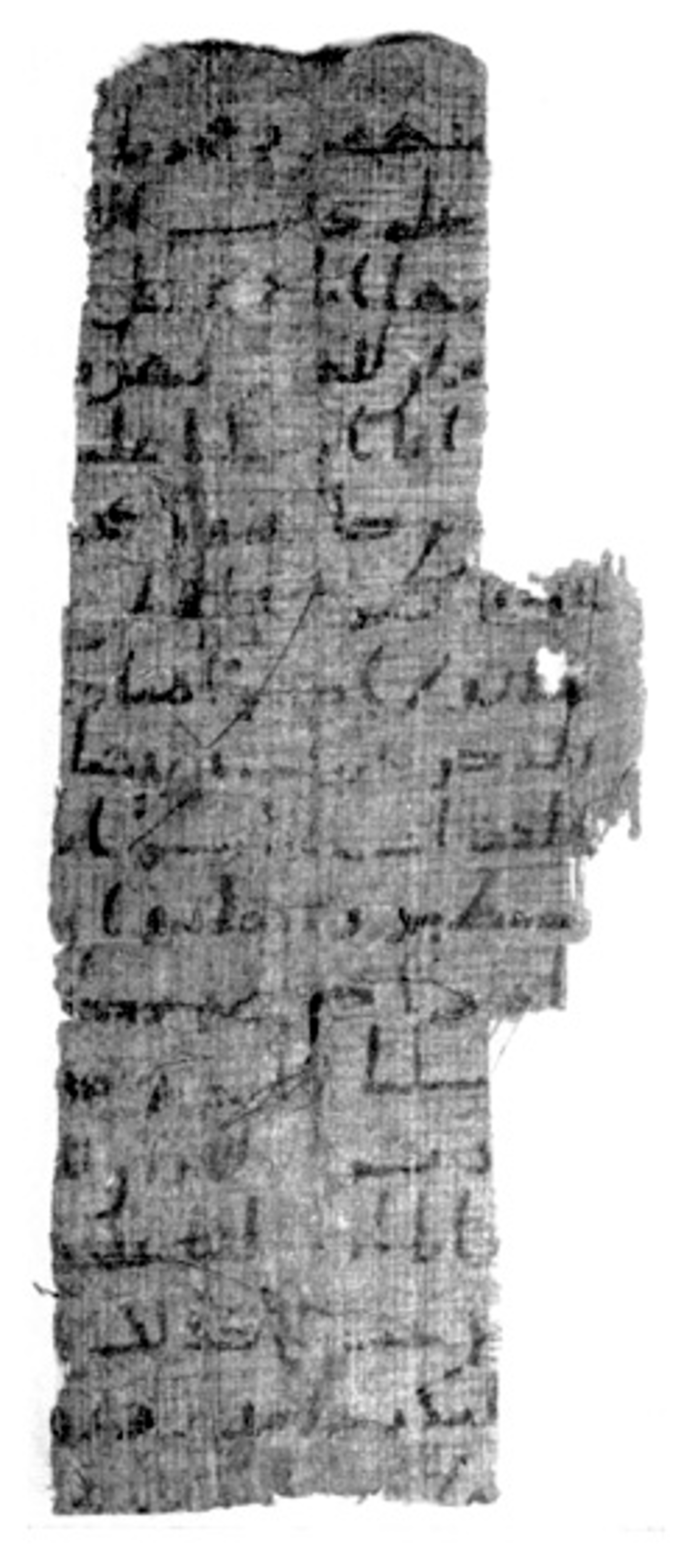 Cambridge, Michaelides Collection, No. 32, in Ḥiǧāzī I, Ḥiǧāzī II, Kūfī B.Ia script, showing Surah 54:21 from Mid 7th to Mid 8th Century AD found in Egypt, currently housed at University of Cambridge (formerly Michaelides Collection), Cambridge, UK