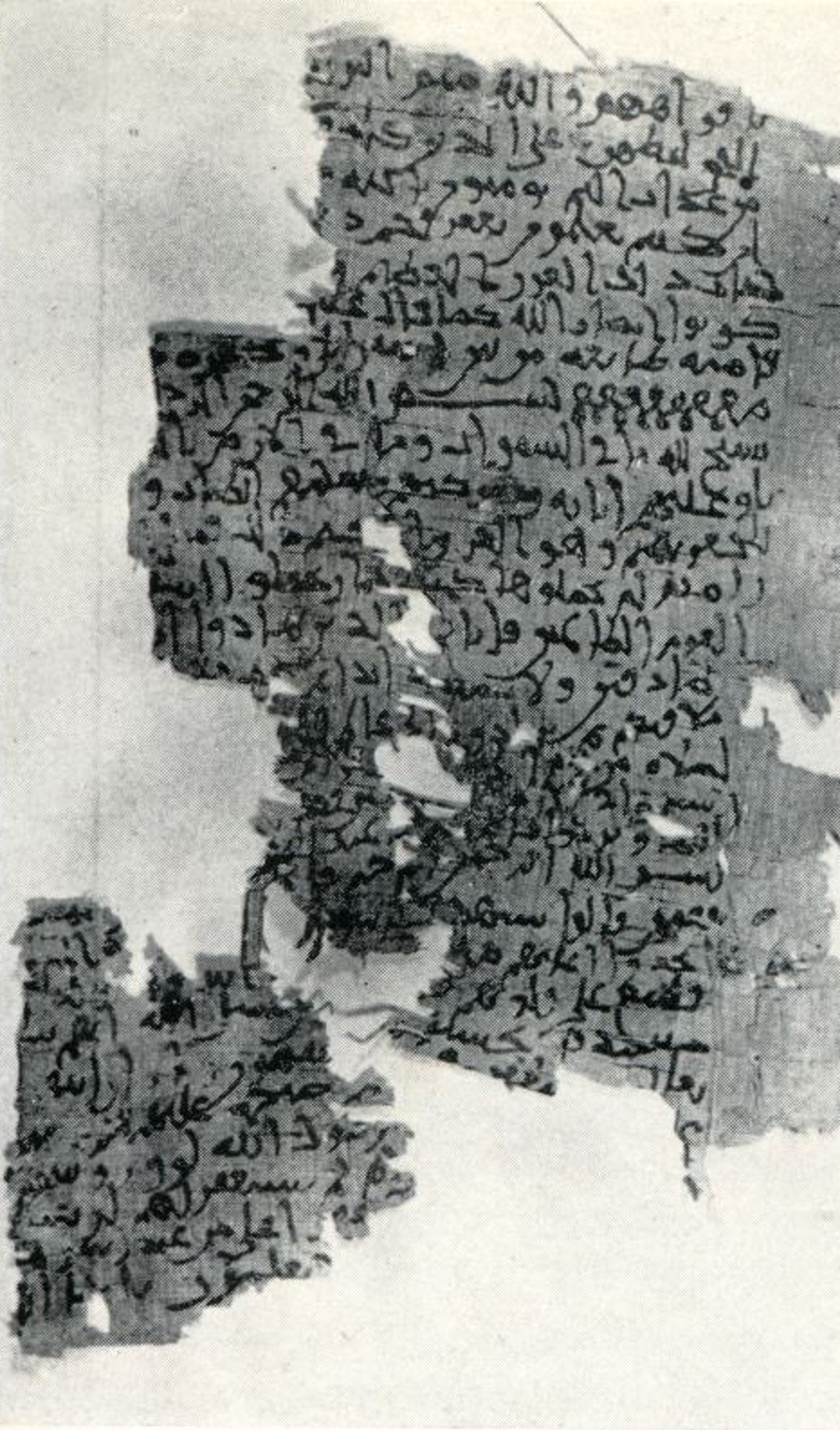 Cambridge, Michaelides Collection, No. 32, in Ḥiǧāzī I, Ḥiǧāzī II, Kūfī B.Ia script, showing Surah 60:13 from Mid 7th to Mid 8th Century AD found in Egypt, currently housed at University of Cambridge (formerly Michaelides Collection), Cambridge, UK