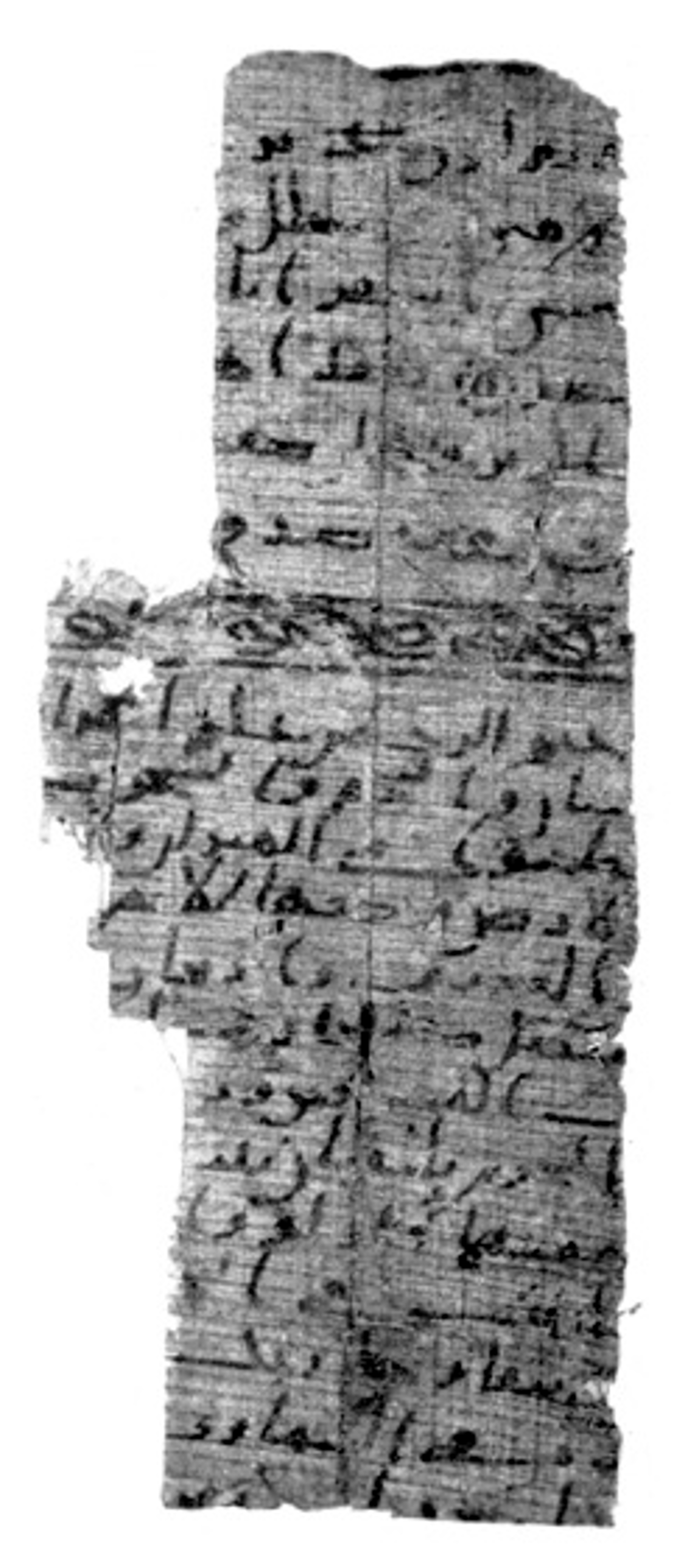 Cambridge, Michaelides Collection, No. 32, in Ḥiǧāzī I, Ḥiǧāzī II, Kūfī B.Ia script, showing Surah 55:21 from Mid 7th to Mid 8th Century AD found in Egypt, currently housed at University of Cambridge (formerly Michaelides Collection), Cambridge, UK