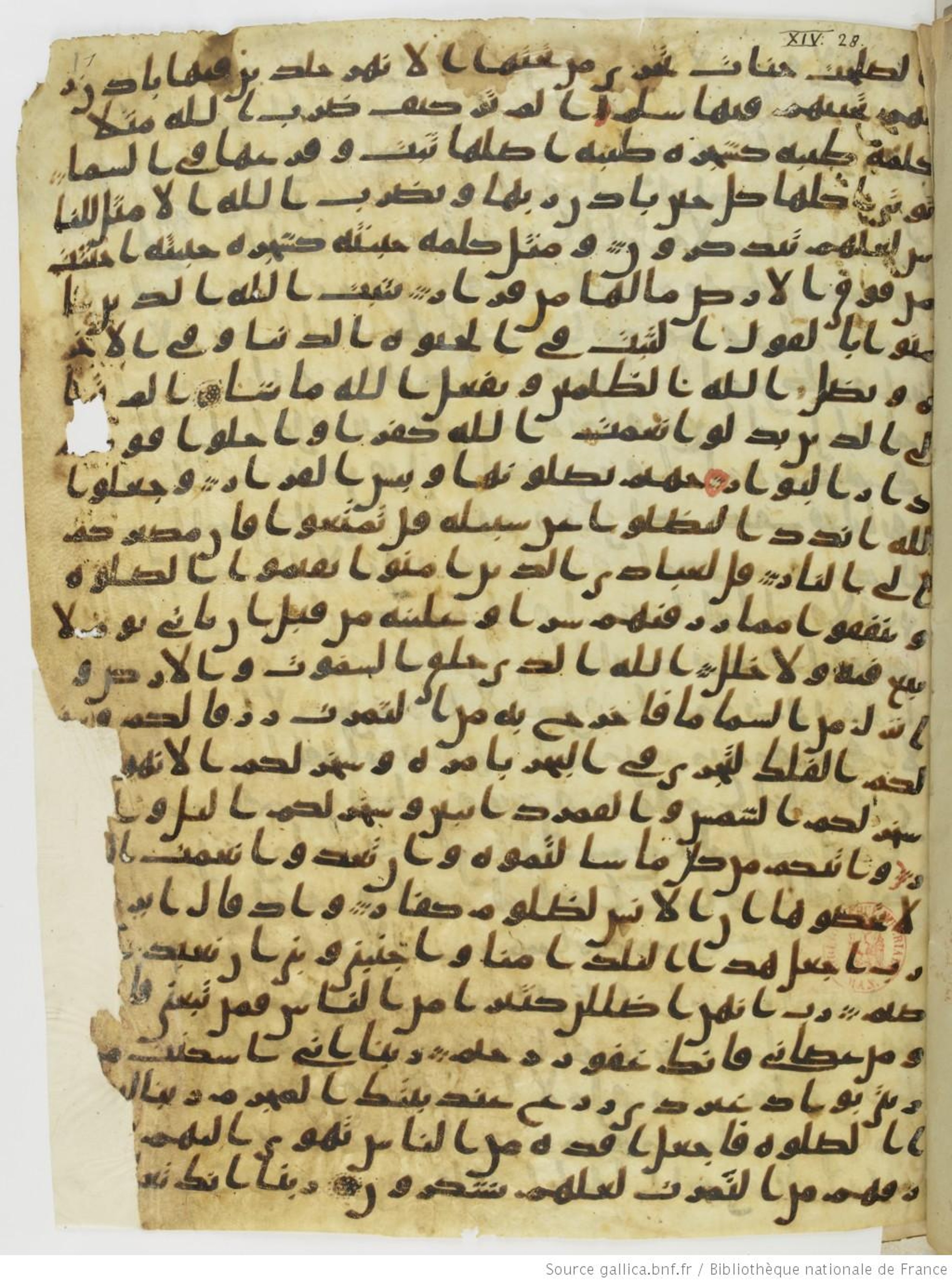 Paris, Bibliothèque nationale de France, Arabe 330 (a) (Scan 2), in Ḥiǧāzī III script, showing Surah 14:32 from 8th Century AD found in Fustat (Old Cairo), Egypt, currently housed at Bibliothèque nationale de France, Paris