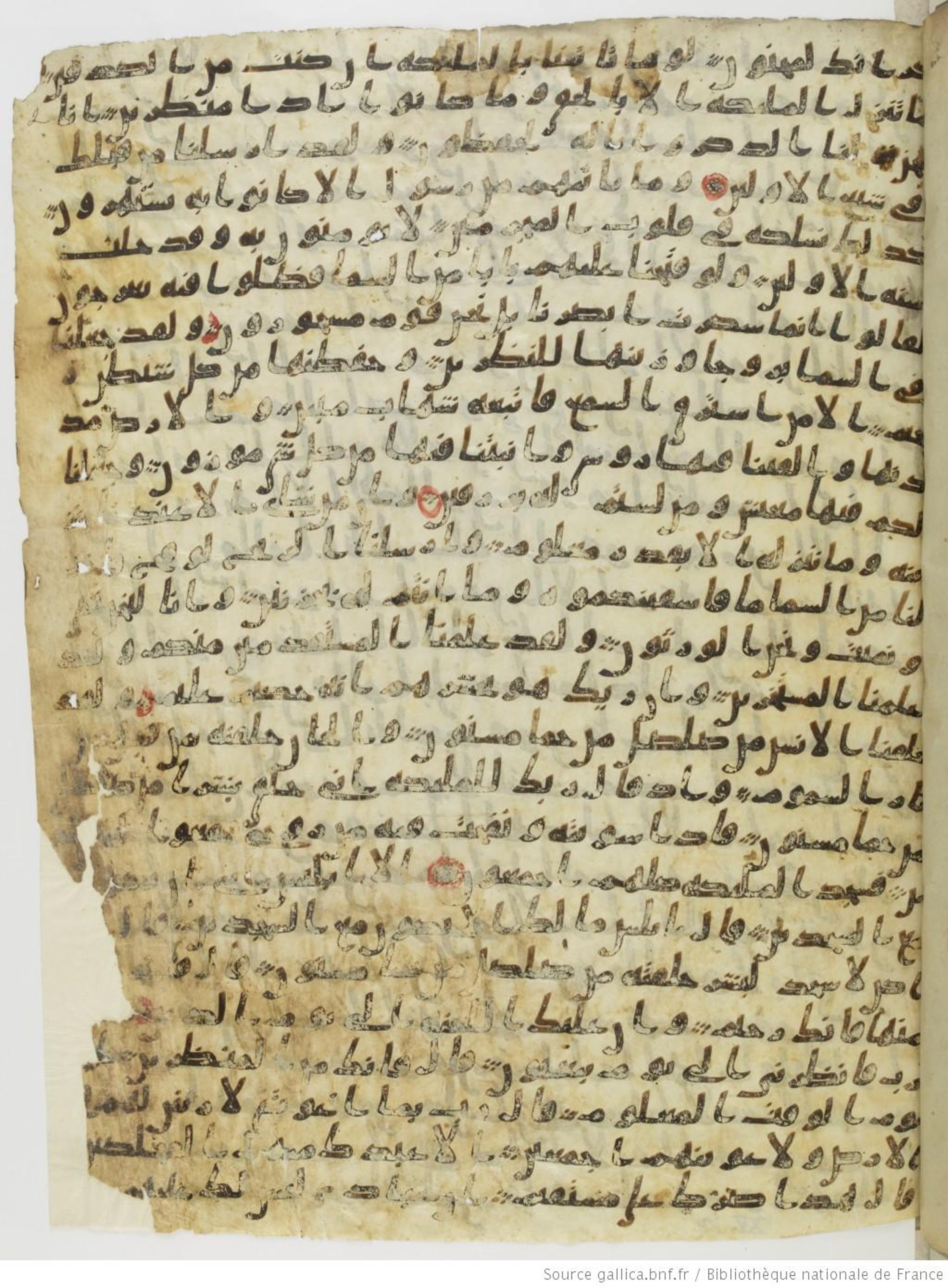 Paris, Bibliothèque nationale de France, Arabe 330 (a) (Scan 2), in Ḥiǧāzī III script, showing Surah 15:13 from 8th Century AD found in Fustat (Old Cairo), Egypt, currently housed at Bibliothèque nationale de France, Paris