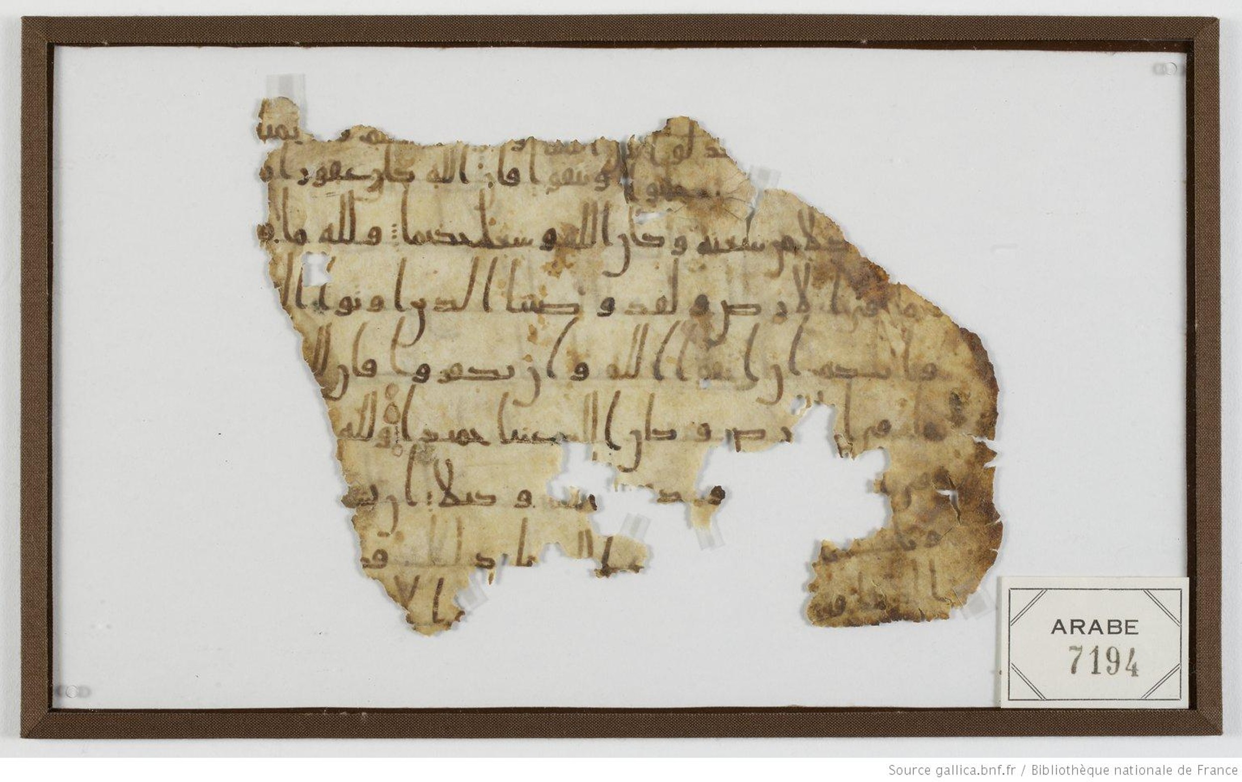 Paris, Bibliothèque nationale de France, Arabe 7194, in Ḥiǧāzī II and Kūfī B.Ia script, showing Surah 4:129 from Late 7th to Mid 8th Century AD found in Elephantine Island, Aswan, Egypt, currently housed at Bibliothèque nationale de France, Paris