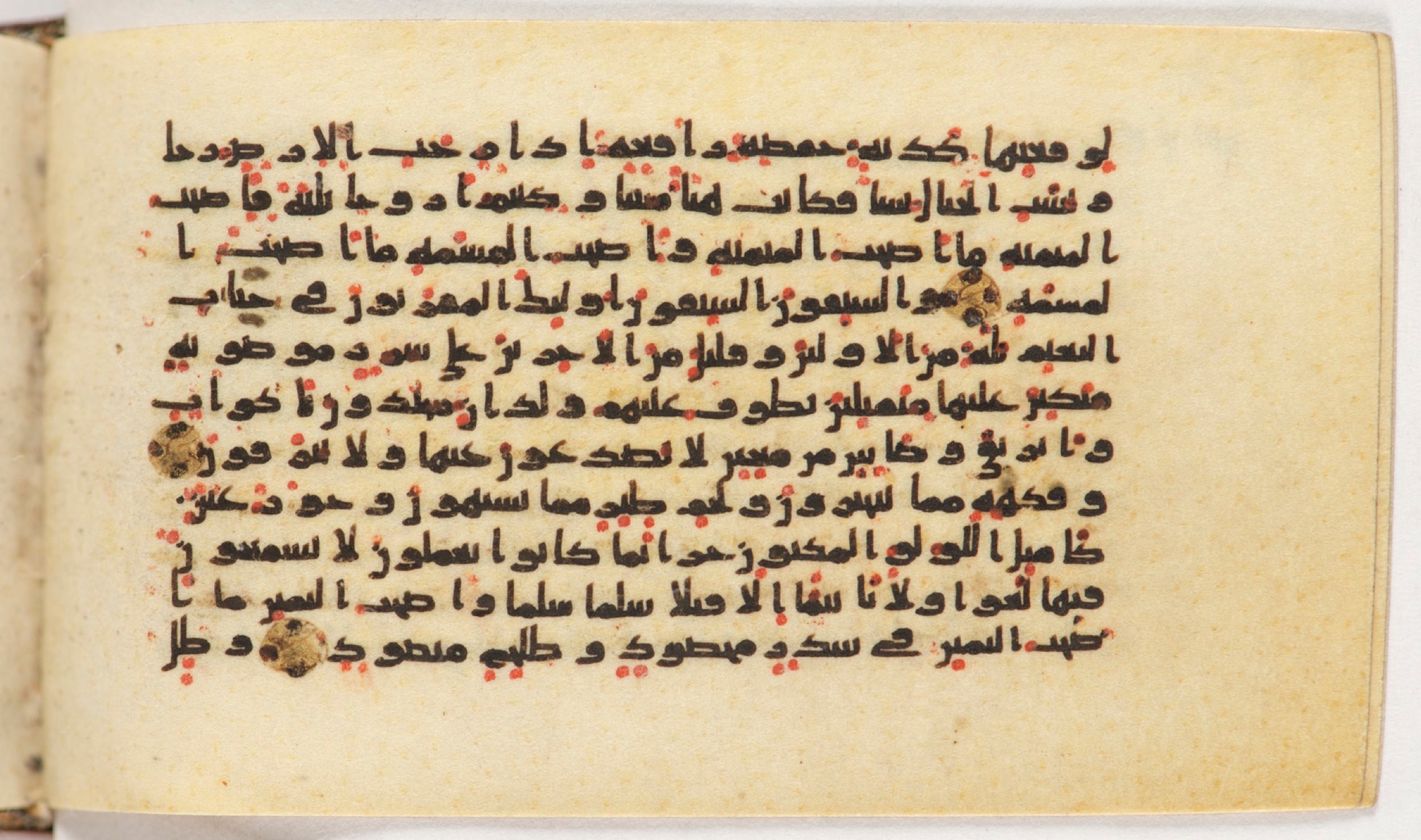 Arabe 399, in Kufic B.II script, showing Surah 56:21 from Mid-8th to Late 9th Century AD found in Unknown, currently housed at Bibliothèque nationale de France, Paris