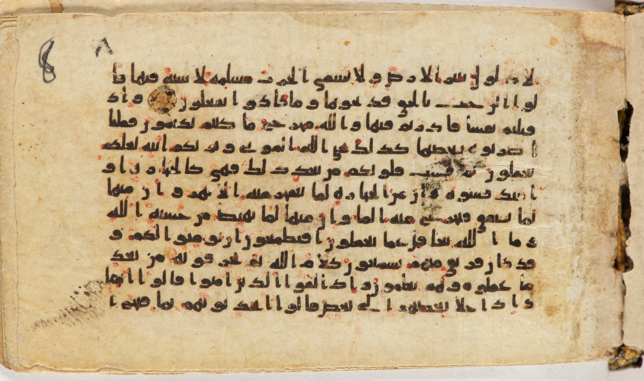 Arabe 399 (Scan 2), in Kufic B.II script, showing Surah 2:71 from Mid-8th to Late 9th Century AD found in Unknown, currently housed at Bibliothèque nationale de France, Paris