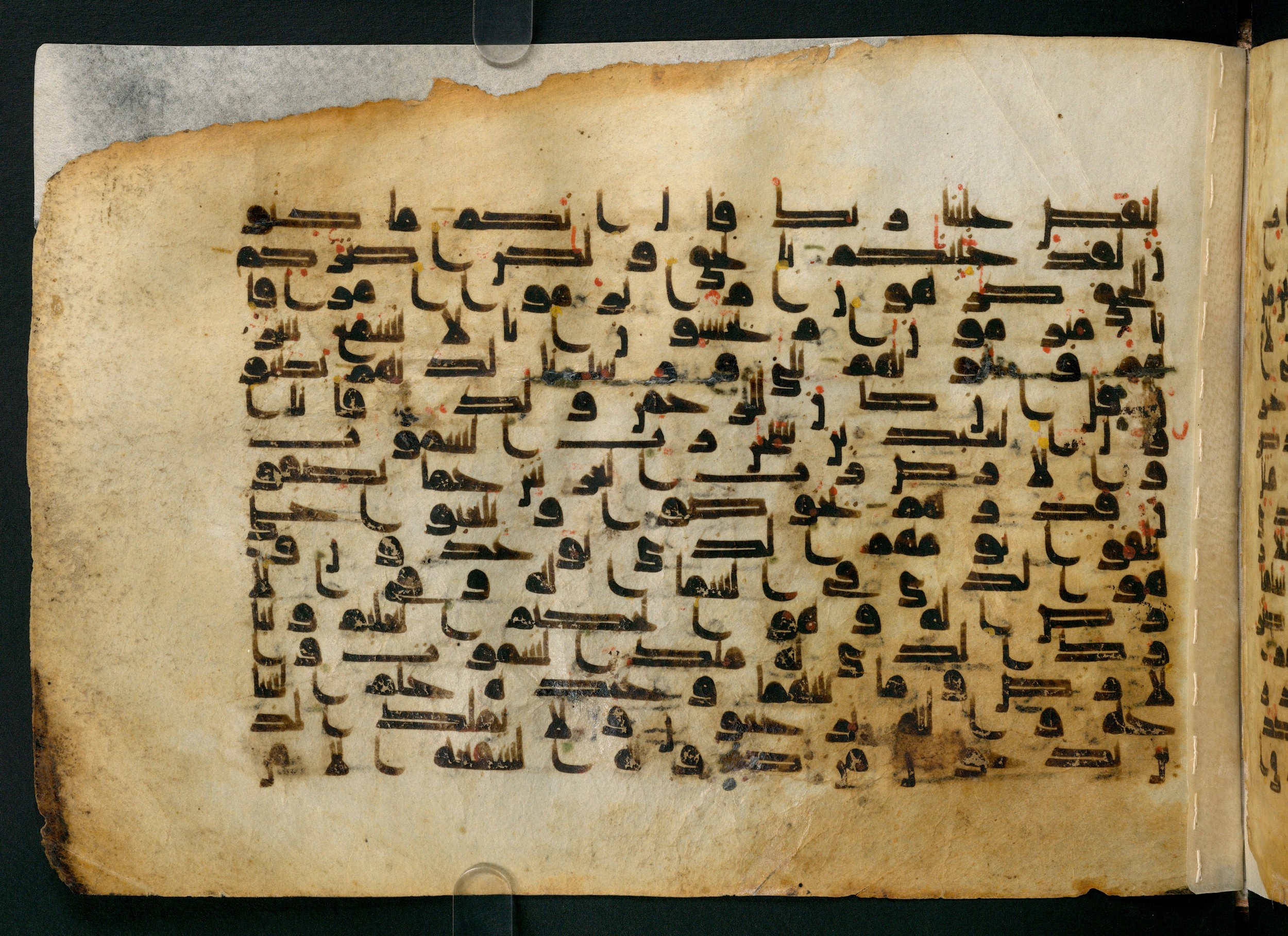 Cairo, Khedivial Library, Moritz 1905, table 31-36 (Scan 1), in Kūfī script, showing Surah 43:83 from 8th to 9th Century AD found in Unknown, currently housed at Unknown (formerly Khedivial Library, Cairo)
