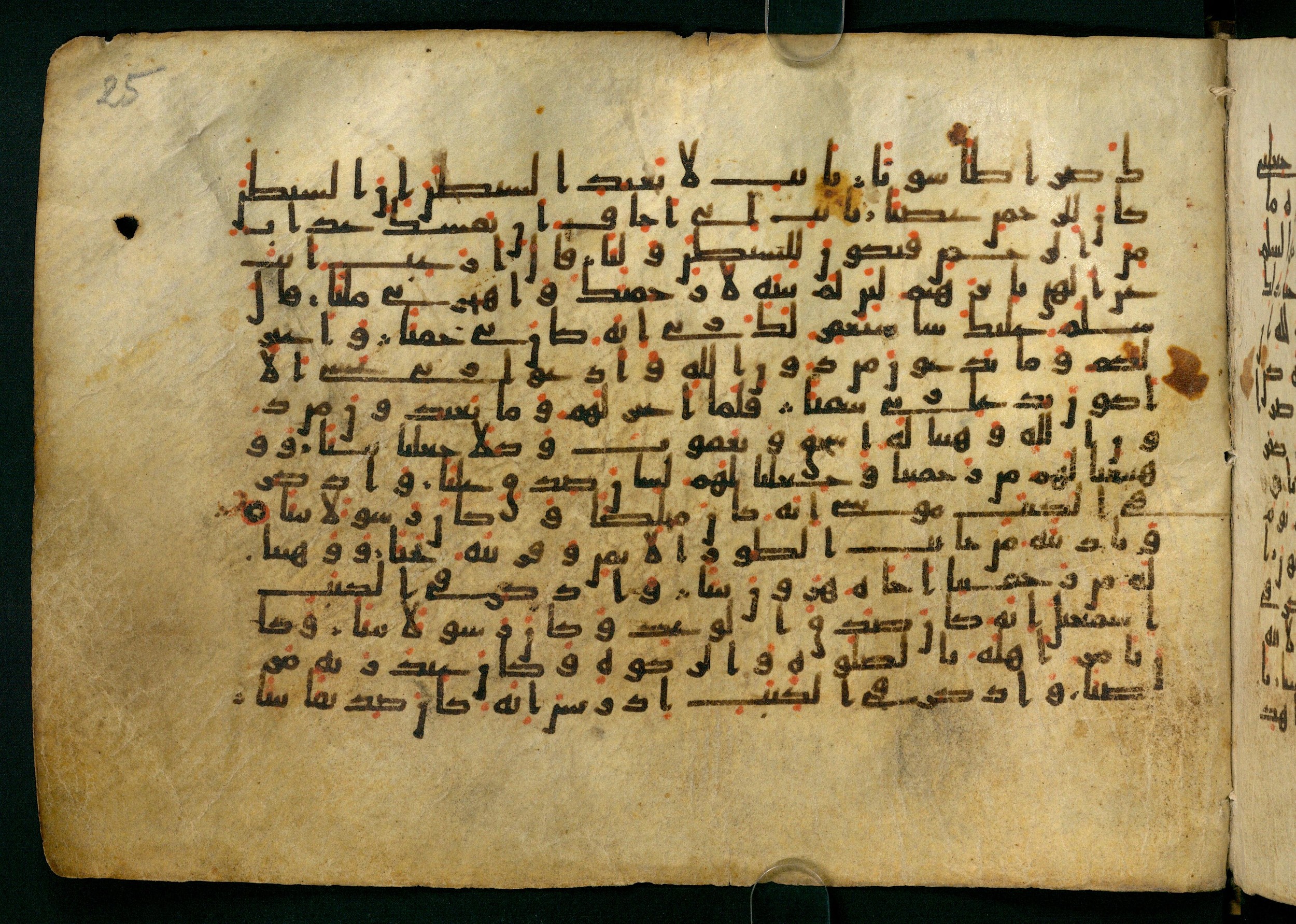Cairo, Khedivial Library, Moritz 1905, table 31-36 (Scan 1), in Kūfī script, showing Surah 19:49 from 8th to 9th Century AD found in Unknown, currently housed at Unknown (formerly Khedivial Library, Cairo)