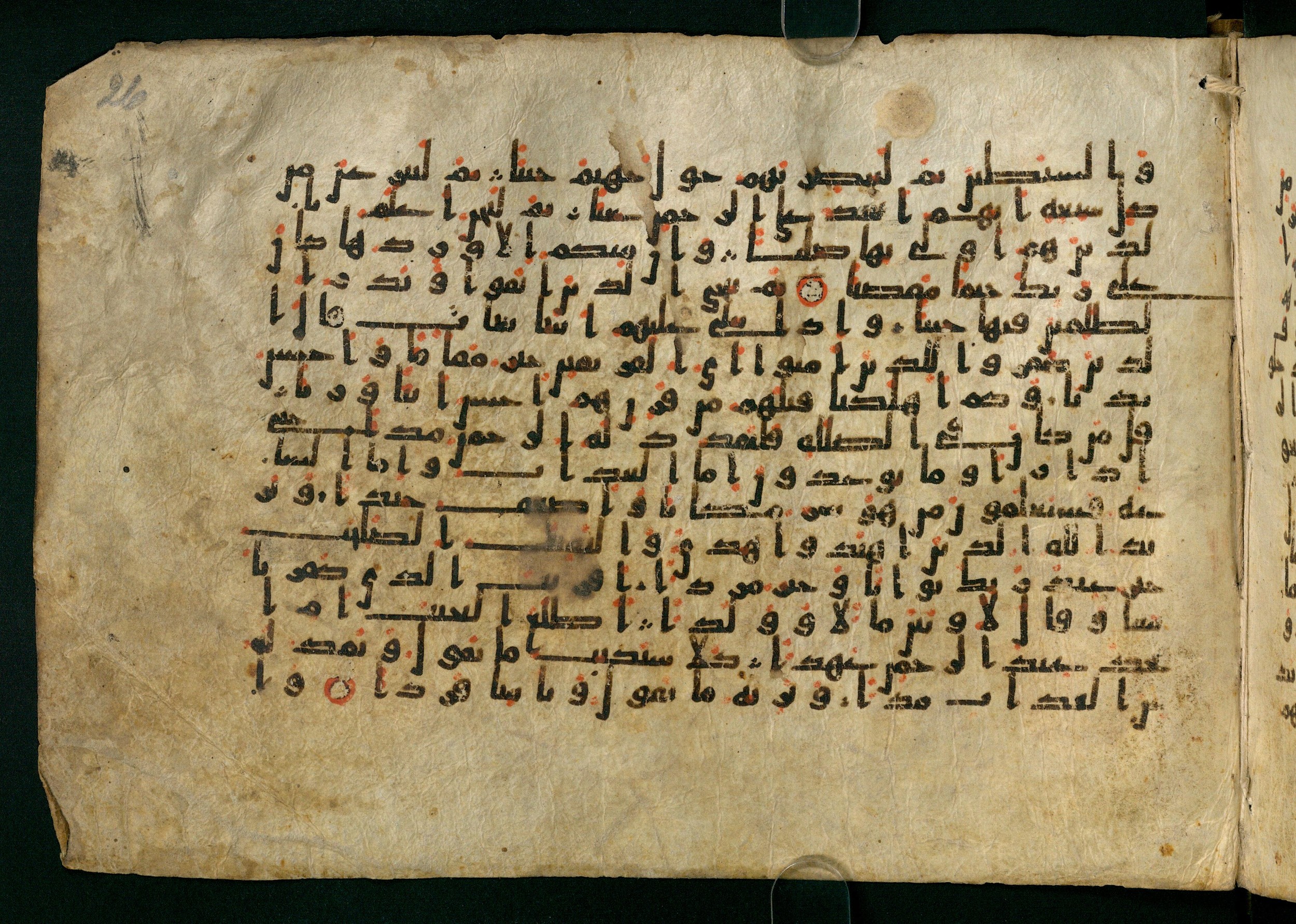 Cairo, Khedivial Library, Moritz 1905, table 31-36 (Scan 1), in Kūfī script, showing Surah 19:76 from 8th to 9th Century AD found in Unknown, currently housed at Unknown (formerly Khedivial Library, Cairo)