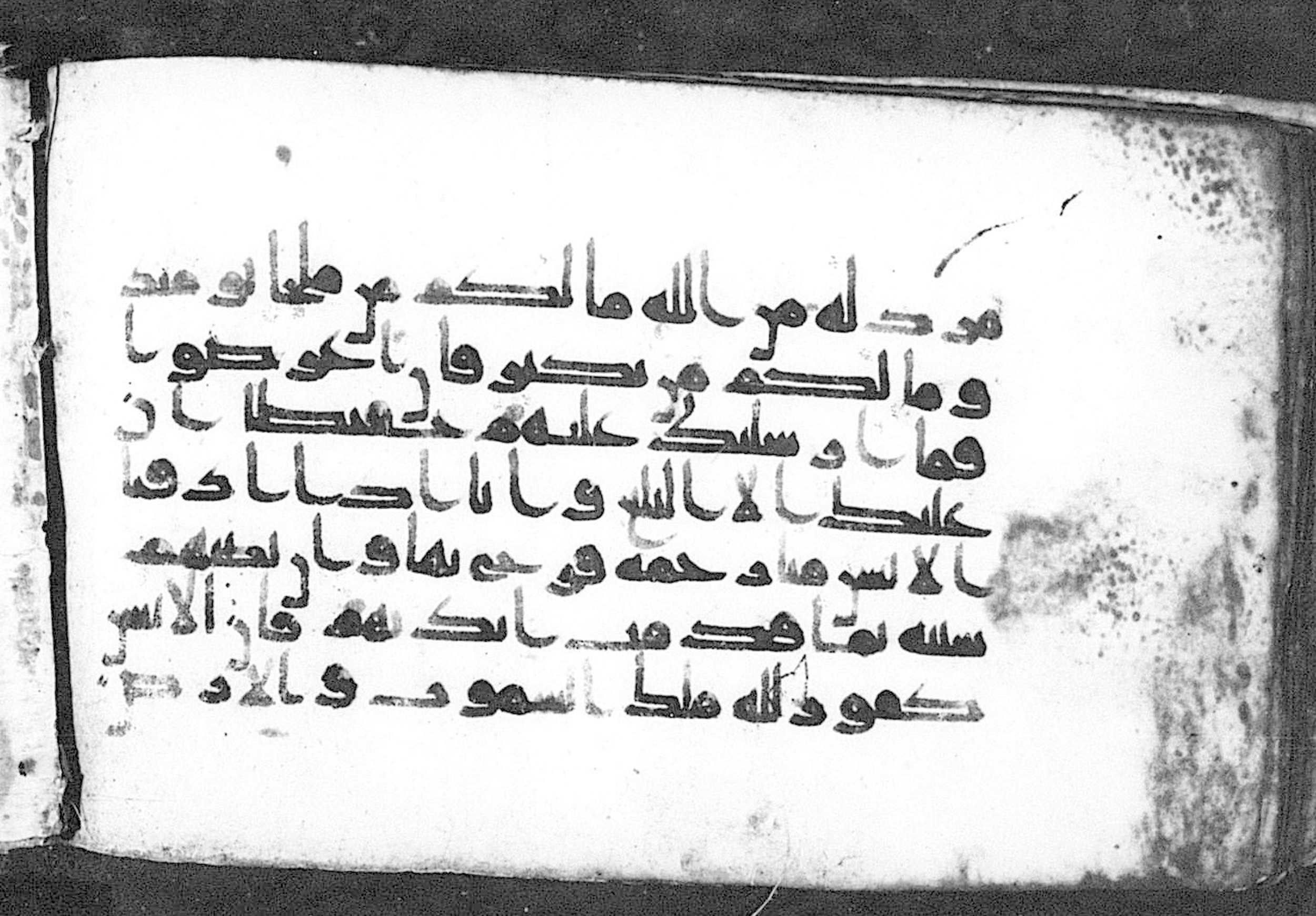 Cairo, Khedivial Library, Moritz 1905, table 31-36 (Scan 1), in Kūfī script, showing Surah 42:49 from 8th to 9th Century AD found in Unknown, currently housed at Unknown (formerly Khedivial Library, Cairo)