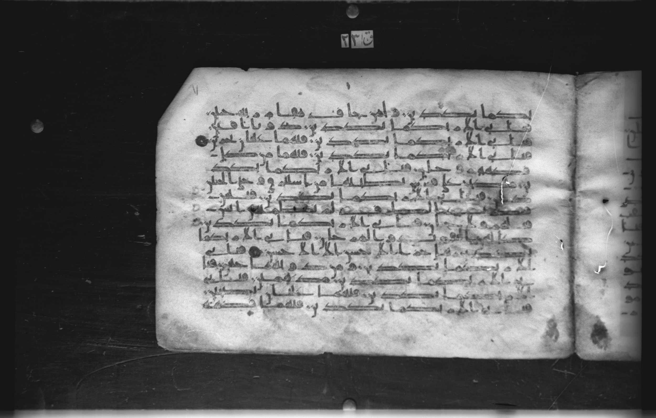 Cairo, Khedivial Library, today: Egyptian National Library and Archives, Moritz 1905, table 37-38, in kūfī D. I / D. III script, showing Surah 55:49 from Mid 8th to Late 9th Century AD found in Egypt, currently housed at Egyptian National Library and Archives (دار الكتب والوثائق القومية), Cairo