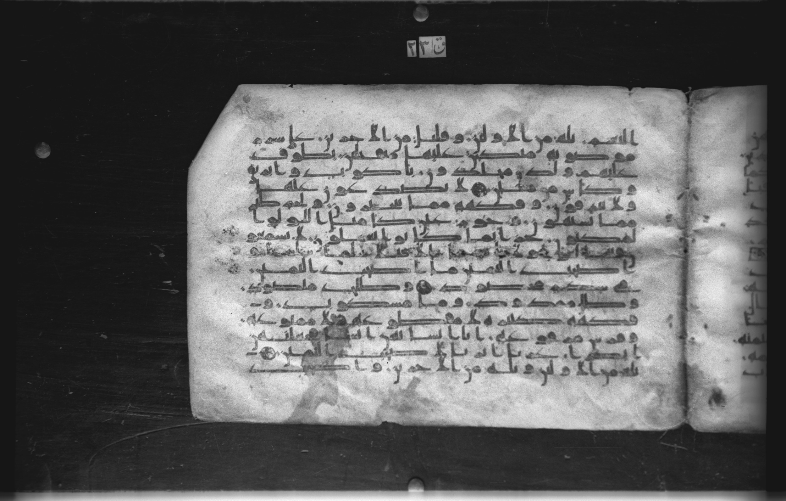Cairo, Khedivial Library, today: Egyptian National Library and Archives, Moritz 1905, table 37-38 (Scan 1), in kūfī D. I / D. III script, showing Surah 56:21 from Mid 8th to Late 9th Century AD found in Egypt, currently housed at Egyptian National Library and Archives (دار الكتب والوثائق القومية), Cairo