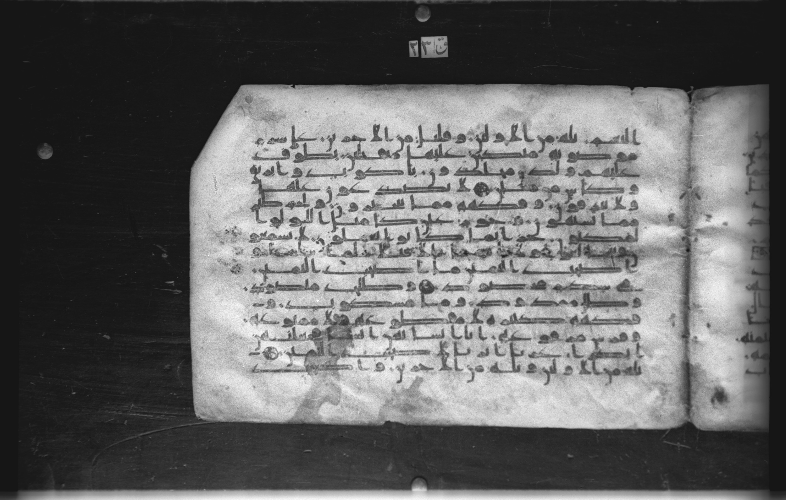 Cairo, Khedivial Library, today: Egyptian National Library and Archives, Moritz 1905, table 37-38 (Scan 2), in kūfī D. I / D. III script, showing Surah 56:21 from Mid 8th to Late 9th Century AD found in Egypt, currently housed at Egyptian National Library and Archives (دار الكتب والوثائق القومية), Cairo