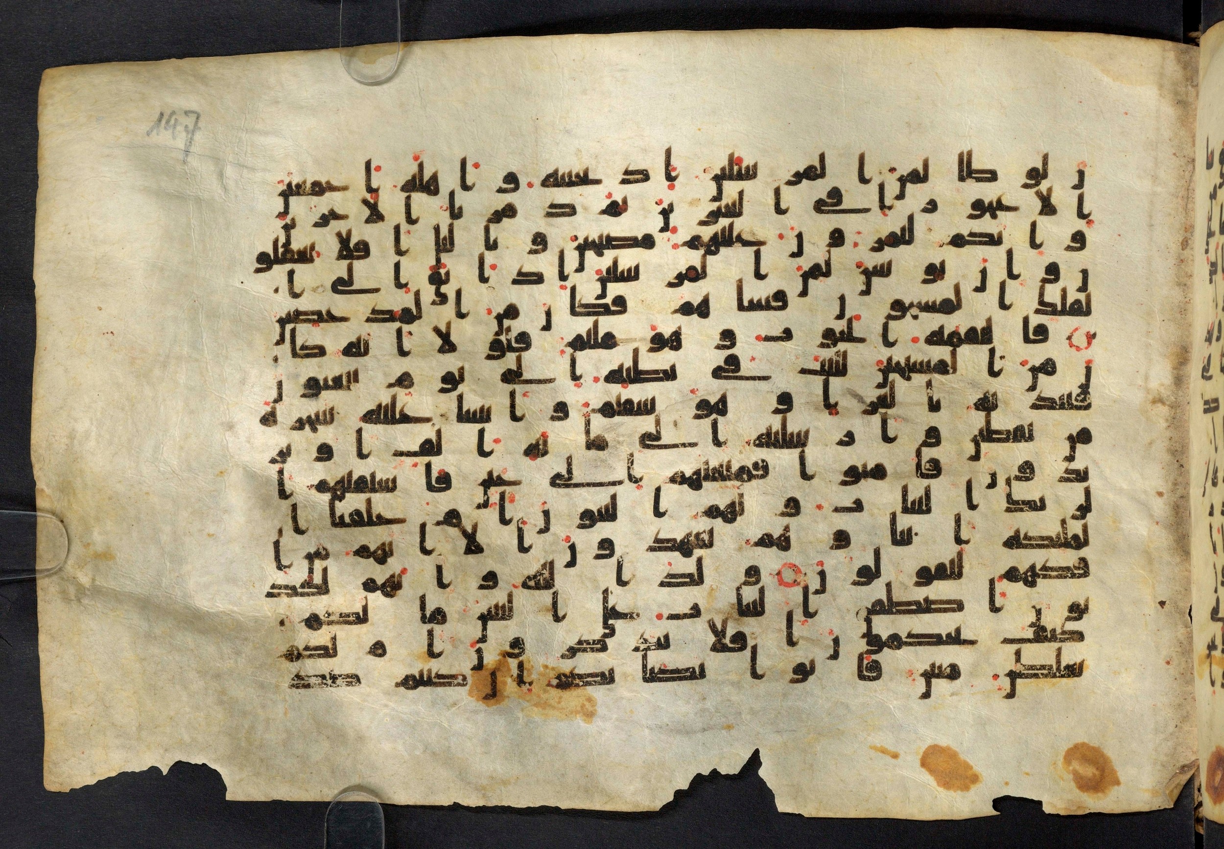 Moritz 1905, Tables 39-40, in Kūfī A.I script, showing Surah 37:136 from 8th Century AD found in Bahnasa (Oxyrynchos), Egypt, currently housed at Egyptian National Library and Archives, Cairo