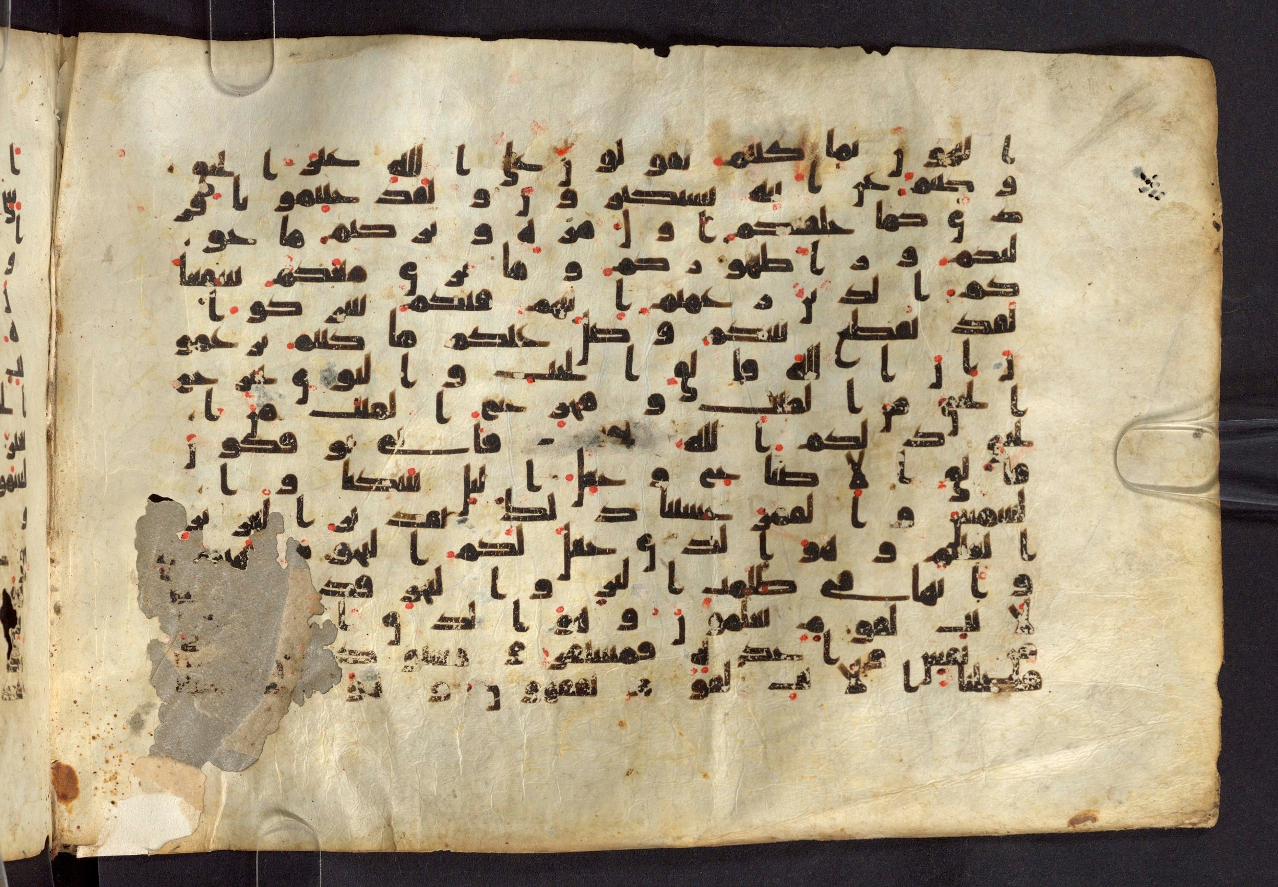 Moritz 1905, Tables 39-40, in Kūfī A.I script, showing Surah 6:95 from 8th Century AD found in Bahnasa (Oxyrynchos), Egypt, currently housed at Egyptian National Library and Archives, Cairo
