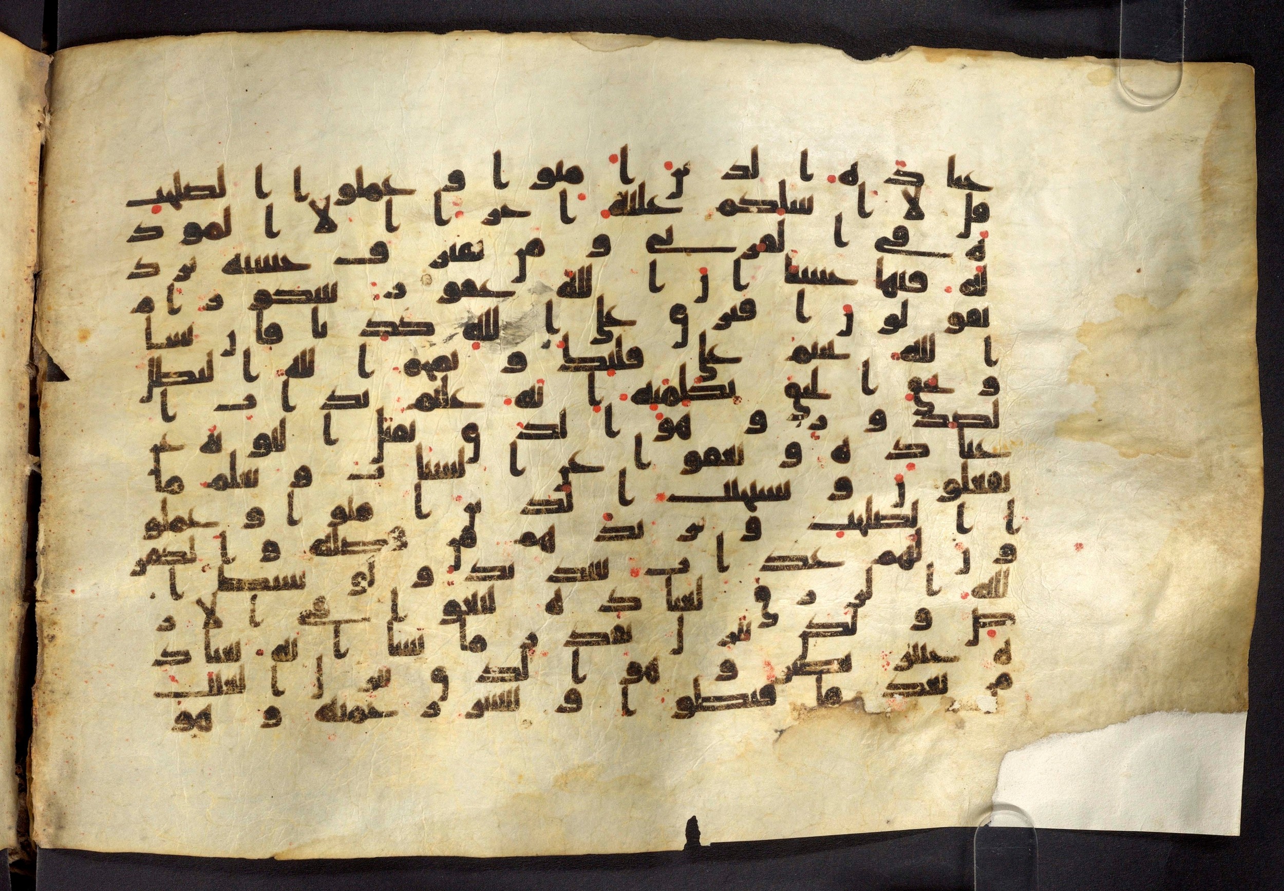 Moritz 1905, Tables 39-40 (Scan 2), in Kūfī A.I script, showing Surah 42:23 from 8th Century AD found in Bahnasa (Oxyrynchos), Egypt, currently housed at Egyptian National Library and Archives, Cairo