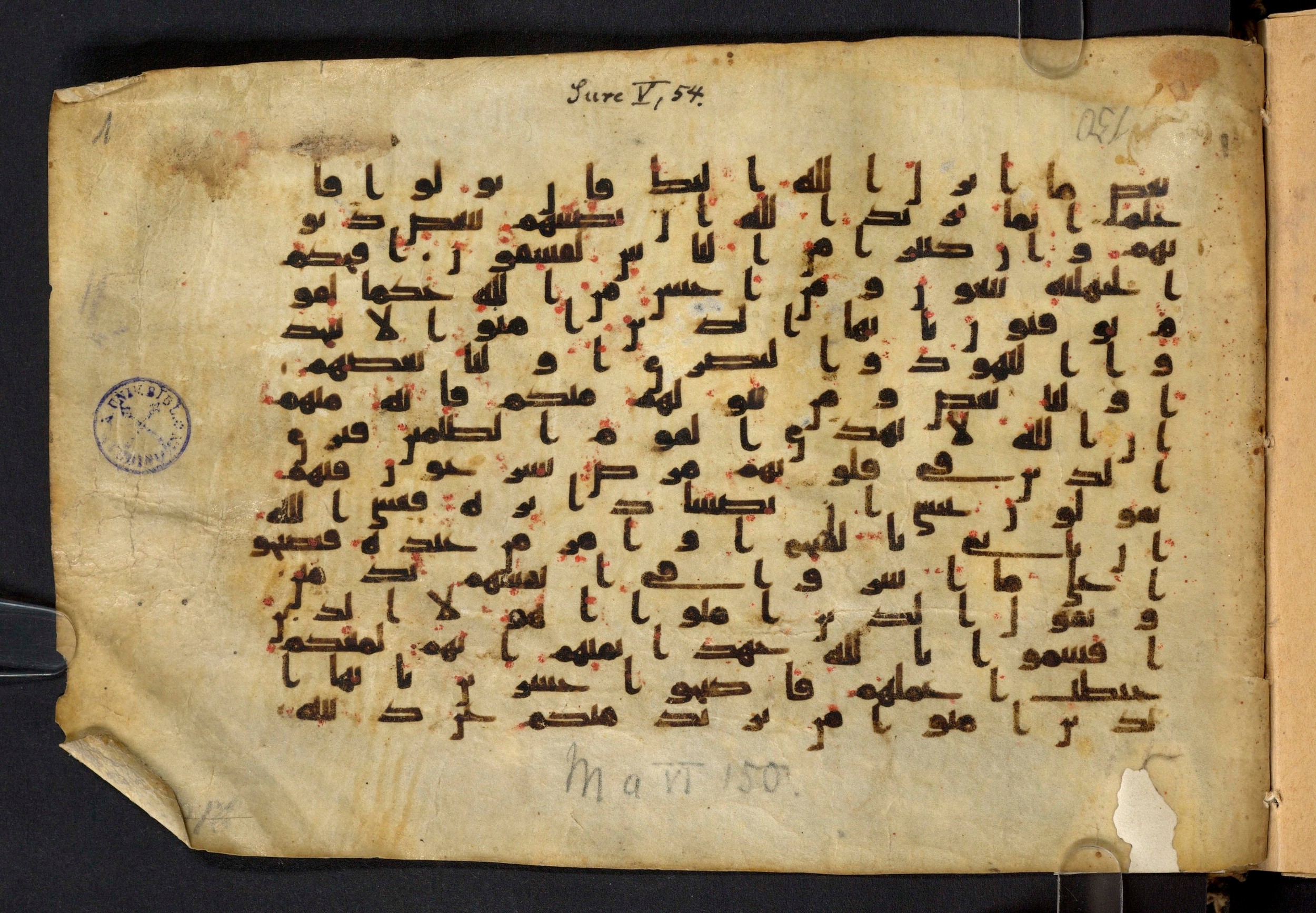 Moritz 1905, Tables 39-40 (Scan 1), in Kūfī A.I script, showing Surah 5:51 from 8th Century AD found in Bahnasa (Oxyrynchos), Egypt, currently housed at Egyptian National Library and Archives, Cairo