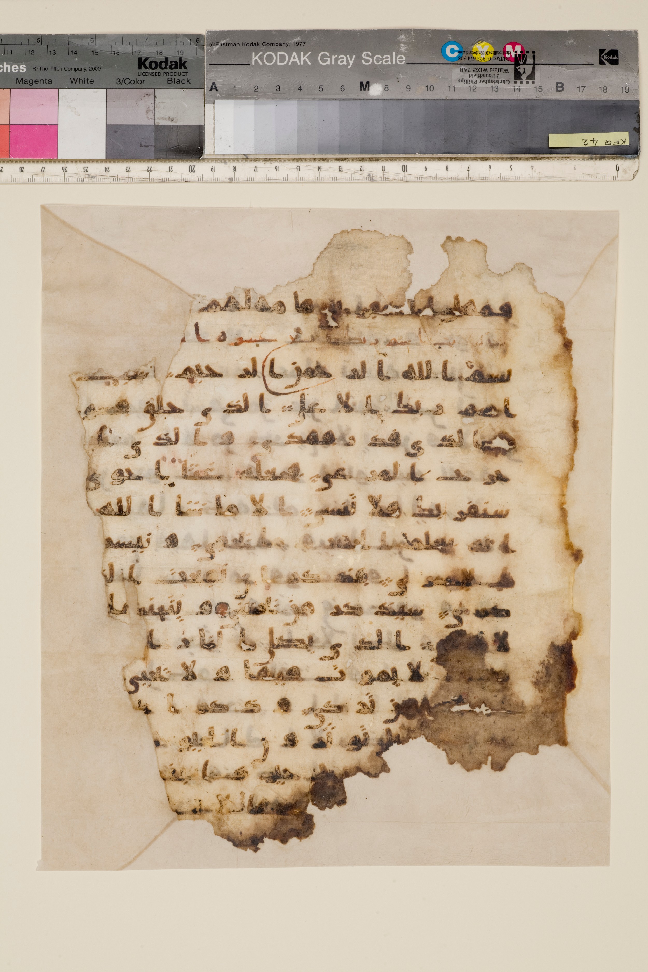 Moritz 1905, Tables 39-40, in Kūfī A.I script, showing Surah 87:13 from 8th Century AD found in Bahnasa (Oxyrynchos), Egypt, currently housed at Egyptian National Library and Archives, Cairo