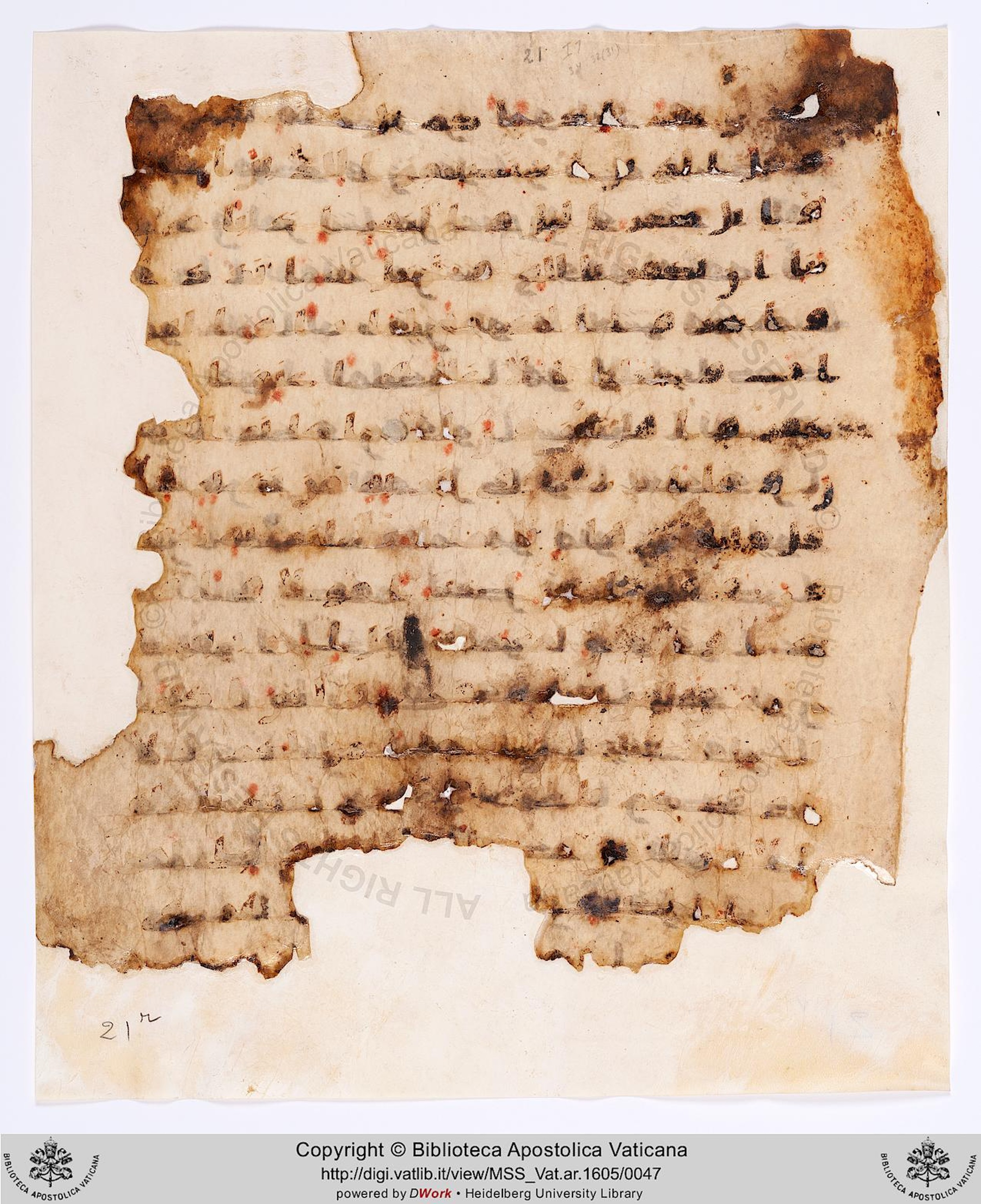 Moritz 1905, Tables 39-40 (Scan 2), in Kūfī A.I script, showing Surah 34:33 from 8th Century AD found in Bahnasa (Oxyrynchos), Egypt, currently housed at Egyptian National Library and Archives, Cairo