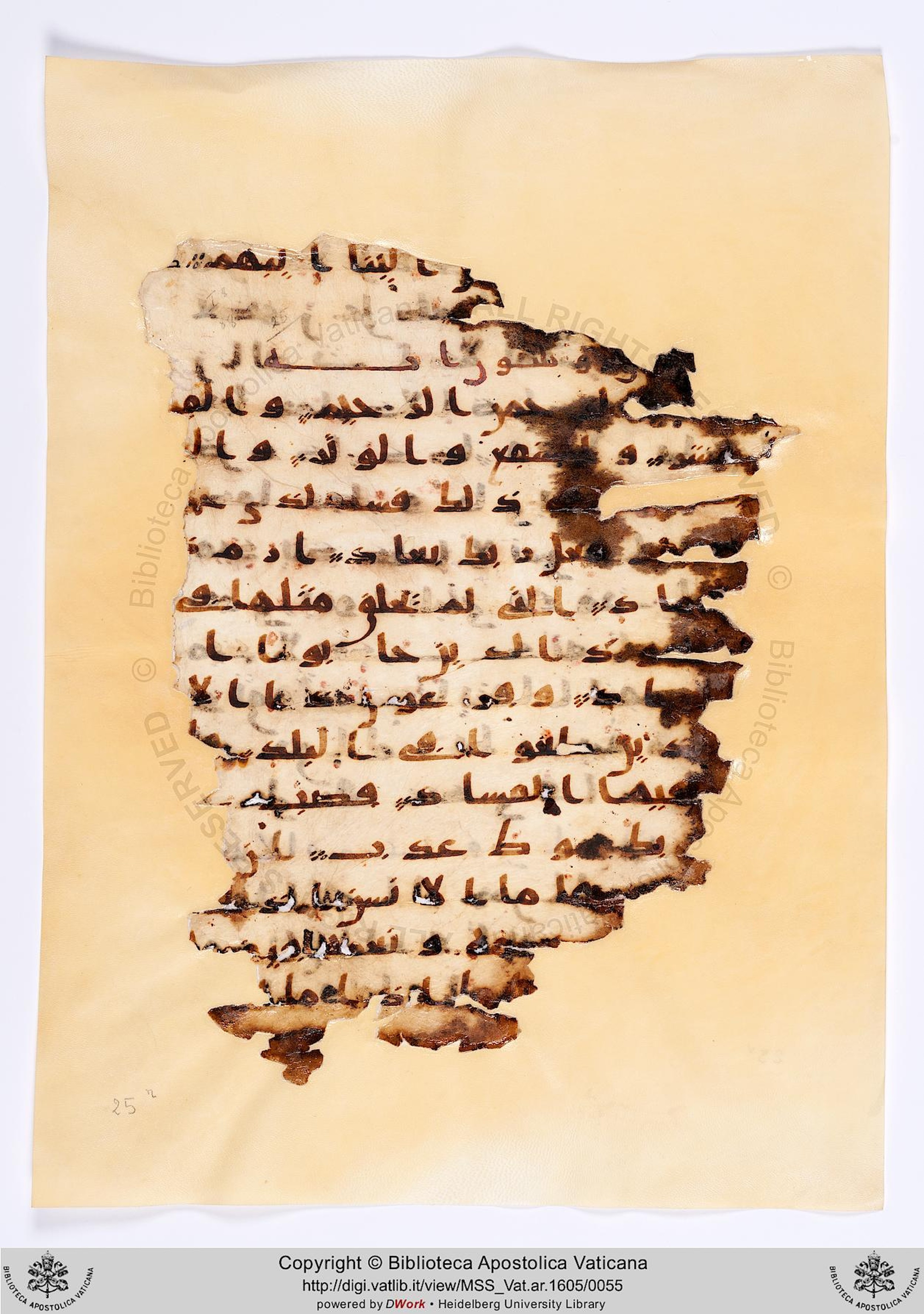 Moritz 1905, Tables 39-40, in Kūfī A.I script, showing Surah 89:13 from 8th Century AD found in Bahnasa (Oxyrynchos), Egypt, currently housed at Egyptian National Library and Archives, Cairo