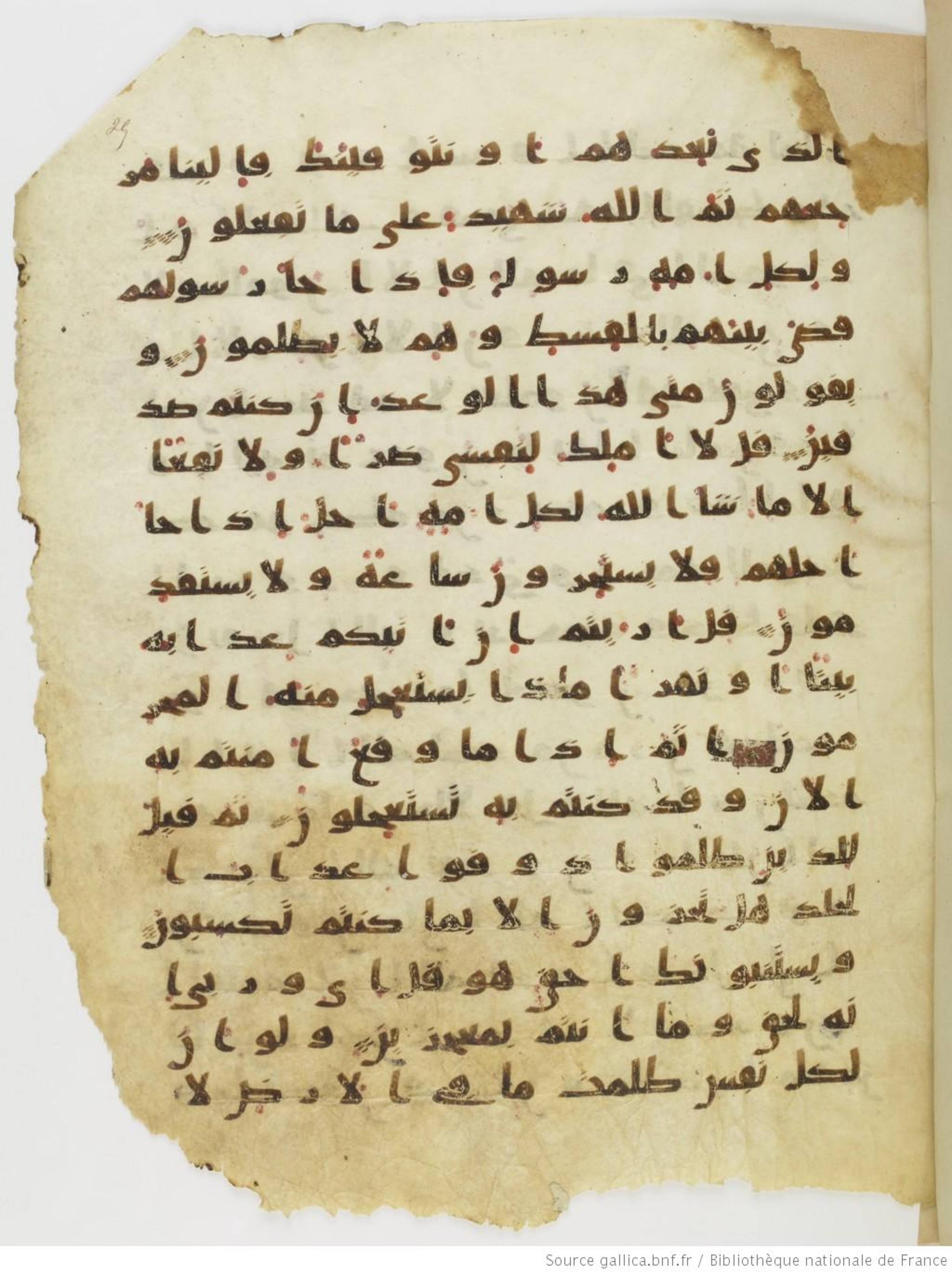 Moritz 1905, Tables 39-40 (Scan 3), in Kūfī A.I script, showing Surah 10:49 from 8th Century AD found in Bahnasa (Oxyrynchos), Egypt, currently housed at Egyptian National Library and Archives, Cairo