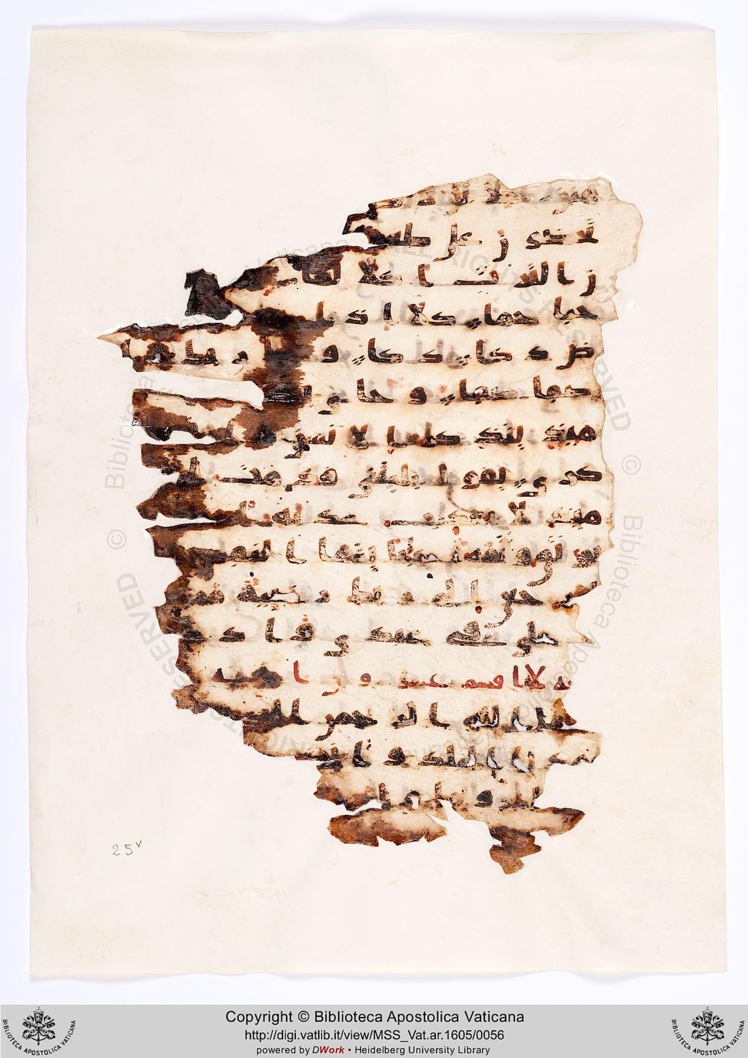 Moritz 1905, Tables 39-40, in Kūfī A.I script, showing Surah 90:3 from 8th Century AD found in Bahnasa (Oxyrynchos), Egypt, currently housed at Egyptian National Library and Archives, Cairo