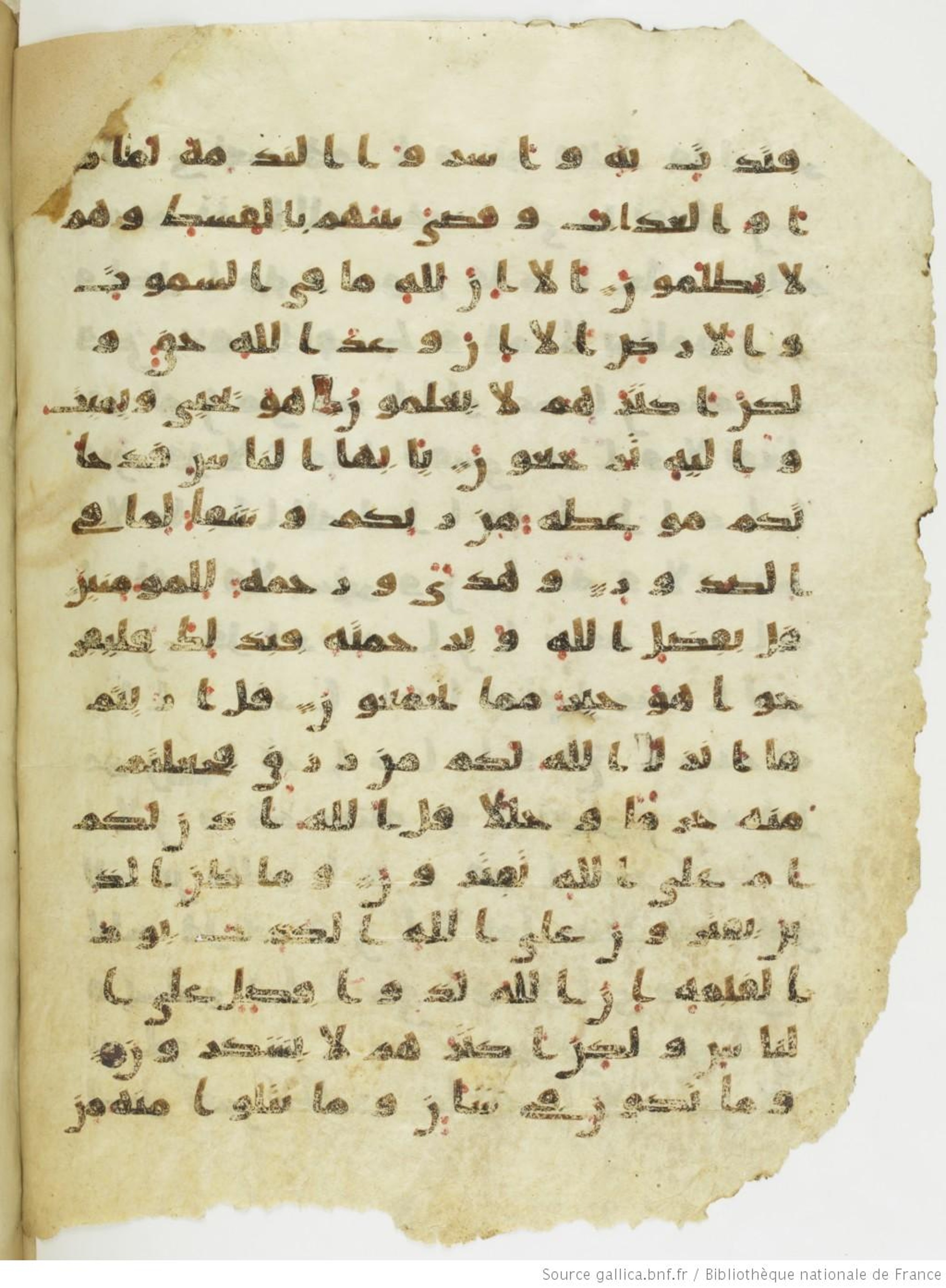 Moritz 1905, Tables 39-40 (Scan 4), in Kūfī A.I script, showing Surah 10:56 from 8th Century AD found in Bahnasa (Oxyrynchos), Egypt, currently housed at Egyptian National Library and Archives, Cairo
