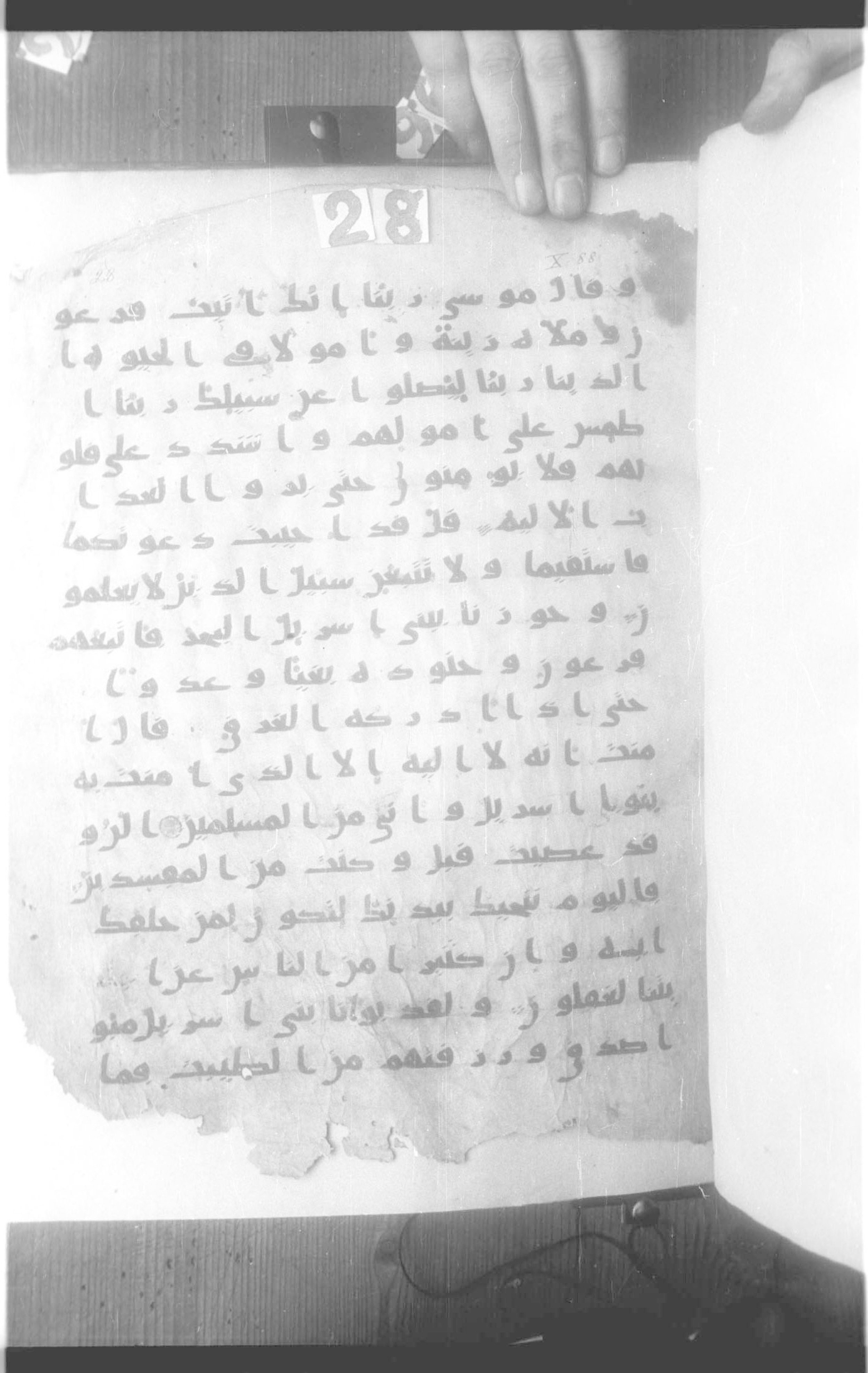 Moritz 1905, Tables 39-40 (Scan 3), in Kūfī A.I script, showing Surah 10:89 from 8th Century AD found in Bahnasa (Oxyrynchos), Egypt, currently housed at Egyptian National Library and Archives, Cairo