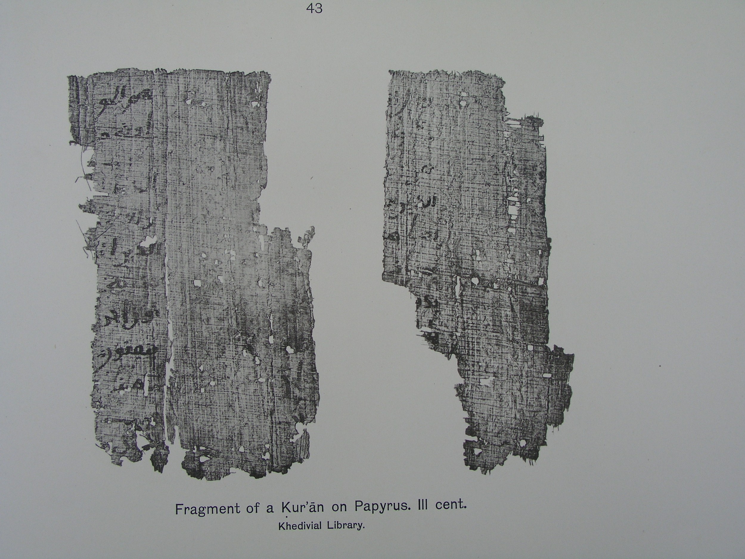 Egyptian National Library and Archives, Moritz 1905, table 43 (Scan 1), in Ḥiǧāzī, Kūfī B script, showing Surah 28:49 from 8th Century AD found in Egypt, currently housed at Egyptian National Library and Archives, Cairo, Egypt