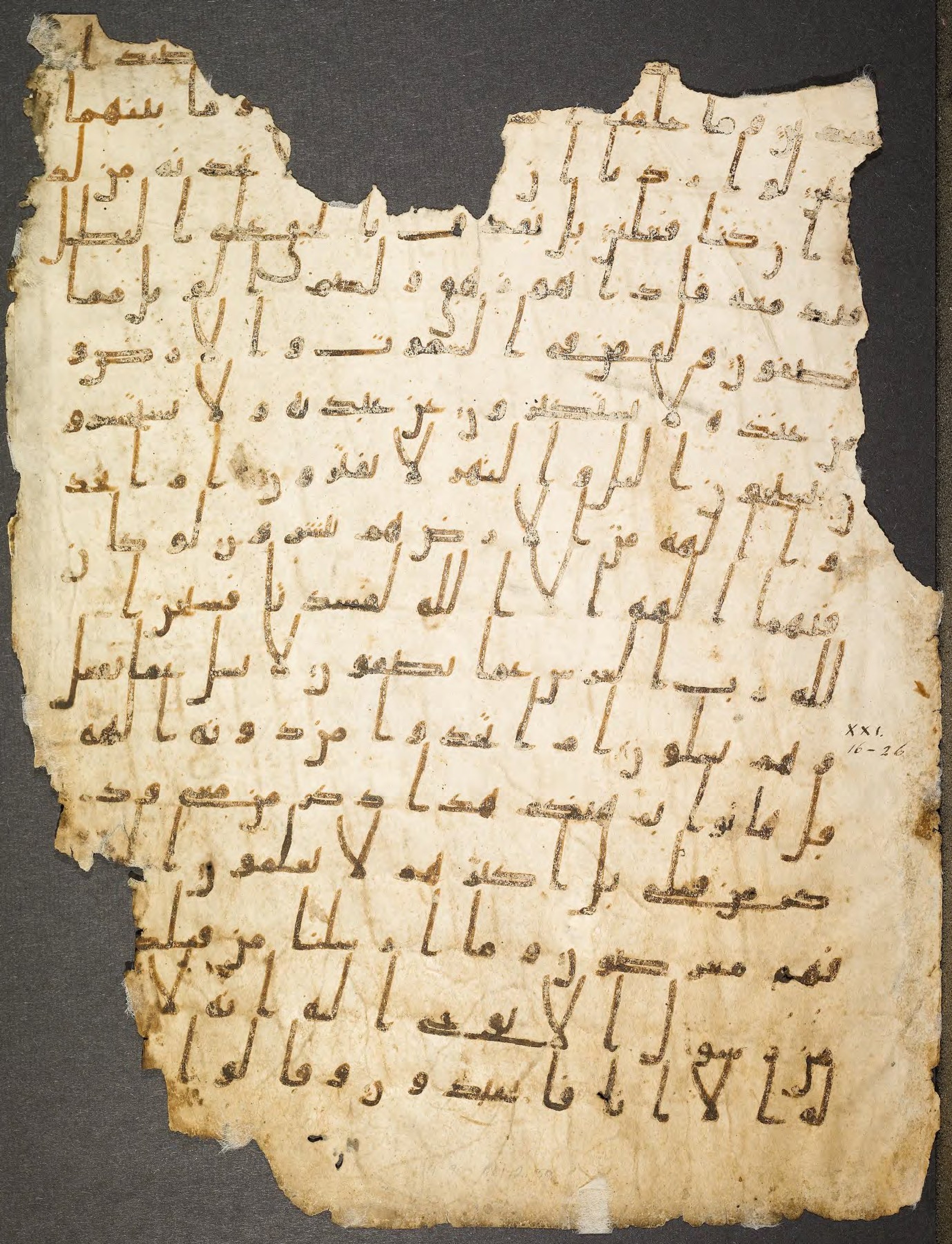 Princeton, New Jersey, Princeton University Library, 14 G (a), in Ḥiǧāzī I script, showing Surah 21:16 from Mid to Late 7th Century AD found in Unknown, currently housed at Princeton University Library, Princeton, New Jersey