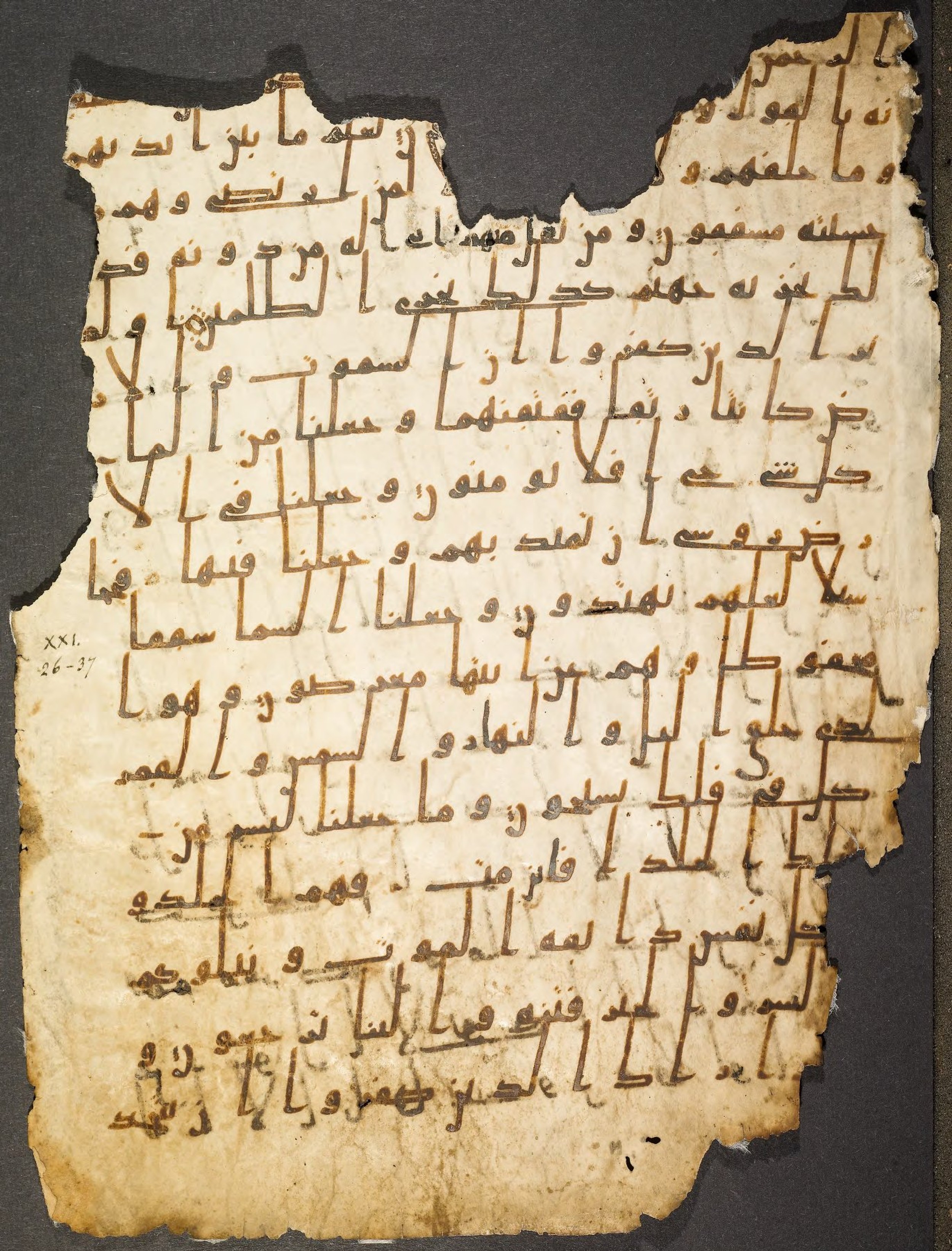 Princeton, New Jersey, Princeton University Library, 14 G (a), in Ḥiǧāzī I script, showing Surah 21:35 from Mid to Late 7th Century AD found in Unknown, currently housed at Princeton University Library, Princeton, New Jersey