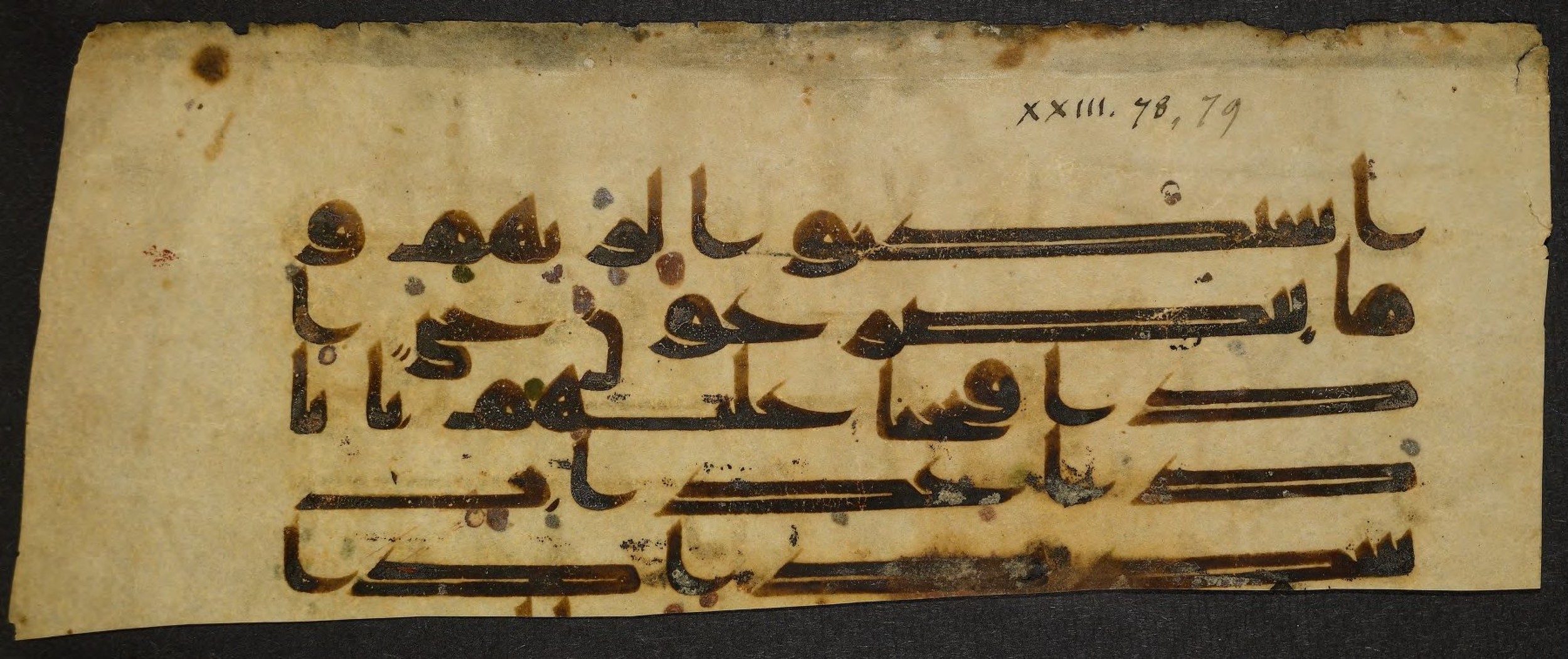 Princeton University Library, 14 G (b), in Kūfī D script, showing Surah 23:76 from 9th Century AD found in Unknown, currently housed at Princeton University Library, Princeton, New Jersey