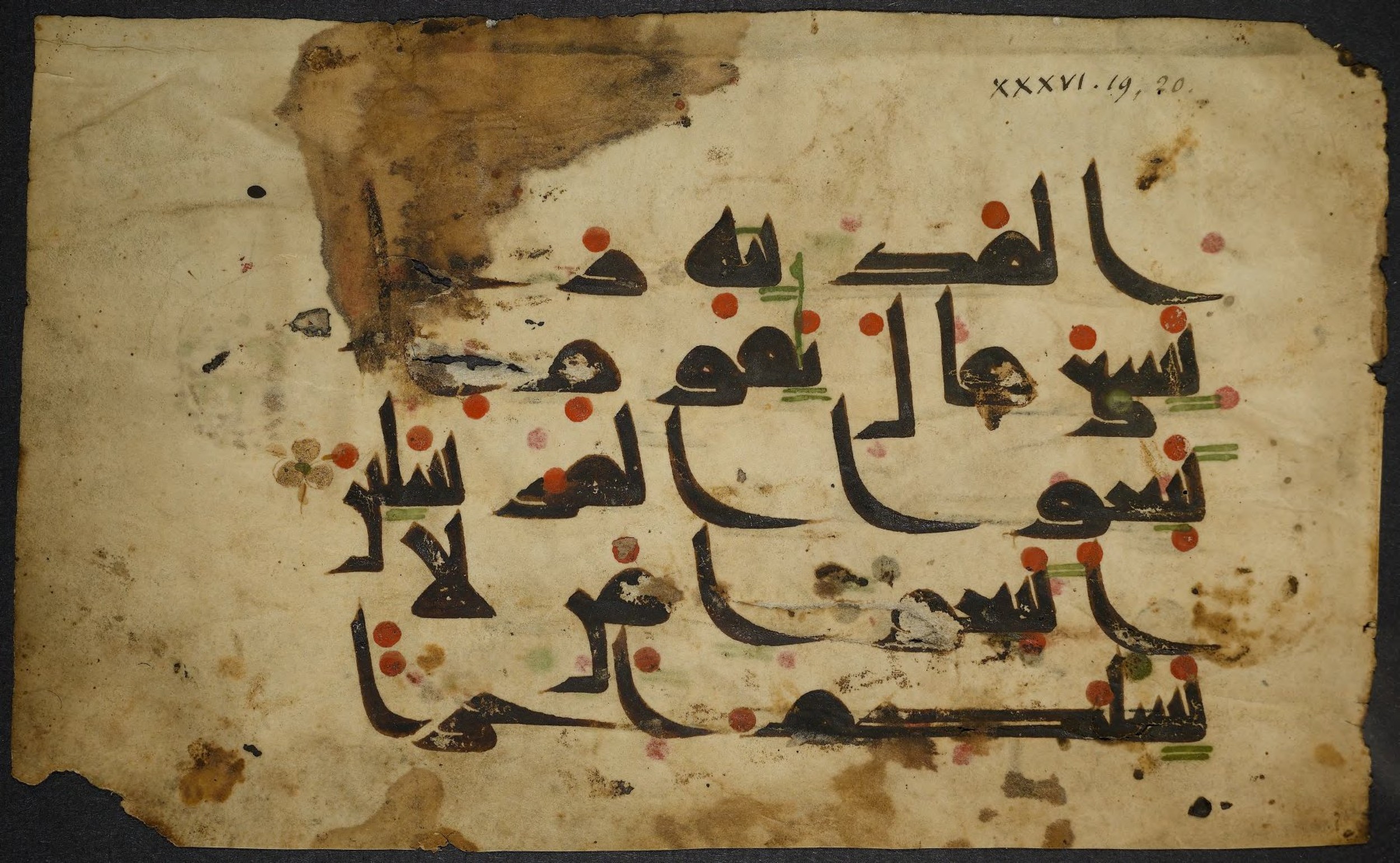 Princeton University Library, 14 G (c), in Kūfī script, showing Surah 36:20 from Mid 8th to Late 9th Century AD found in Unknown, currently housed at Princeton University Library, Princeton, New Jersey