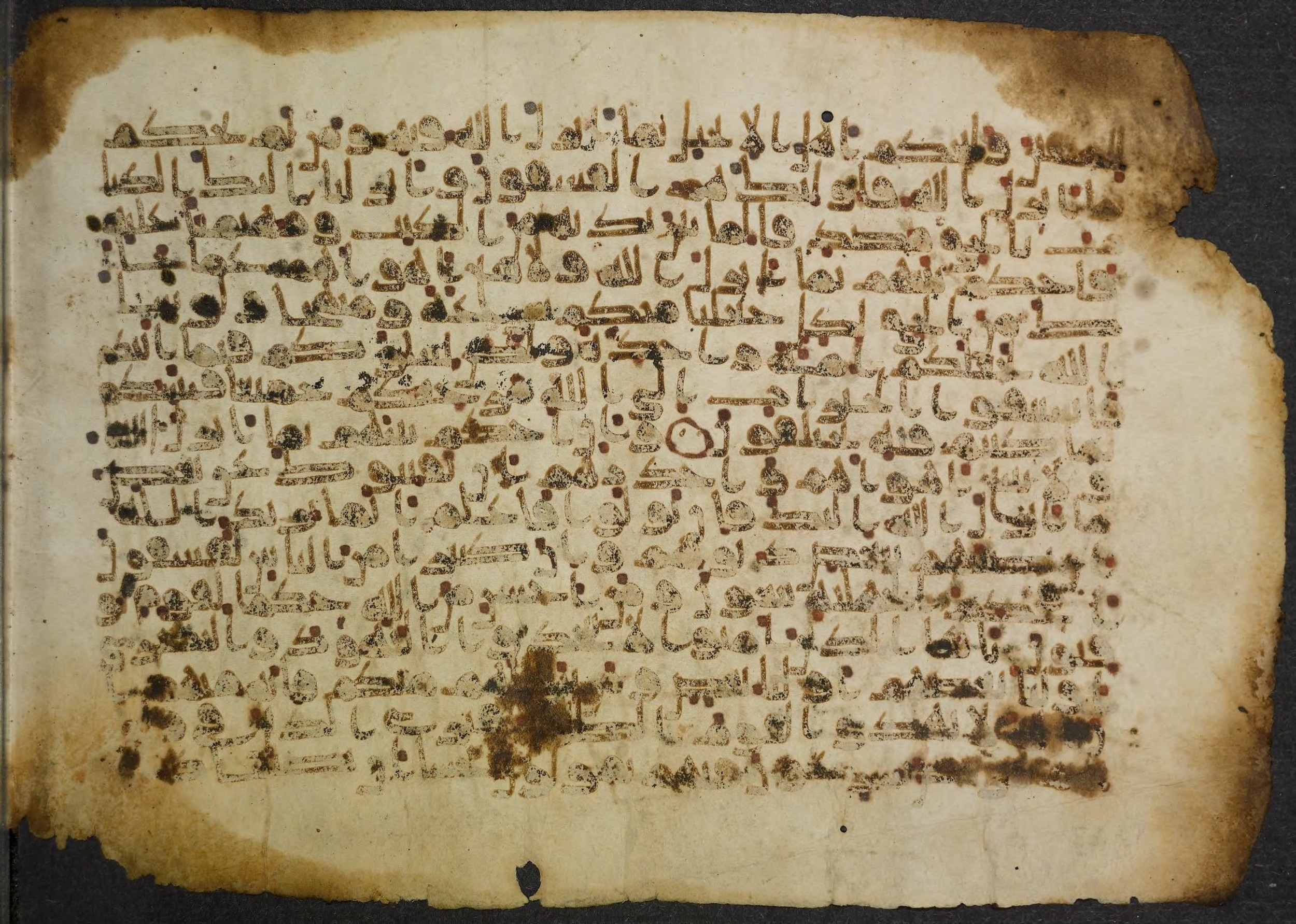 Princeton University Library, 14 G (e), in Kūfī script, showing Surah 5:48 from 9th Century AD found in Unknown, currently housed at Princeton University Library, Princeton, New Jersey