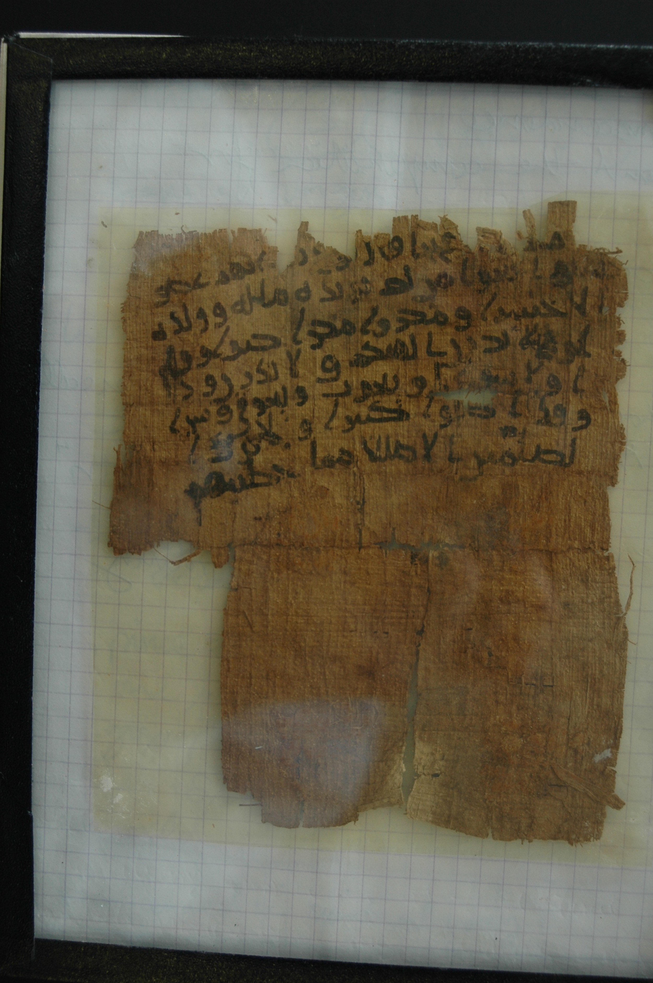 Universiteitsbibliotheek Leiden, Or. 8264, in kūfī B.II script, showing Surah 71:22 from Late 7th to 8th Century AD found in Egypt, currently housed at Universiteitsbibliotheek Leiden, Leiden