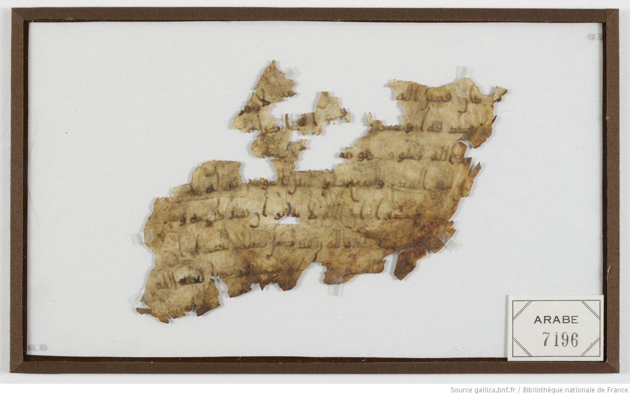 Paris, Bibliothèque nationale de France, Arabe 7196, in Kufic B.Ia script, showing Surah 4:116 from Early to Mid 8th Century AD found in Asyut, Egypt, currently housed at Bibliothèque nationale de France, Paris
