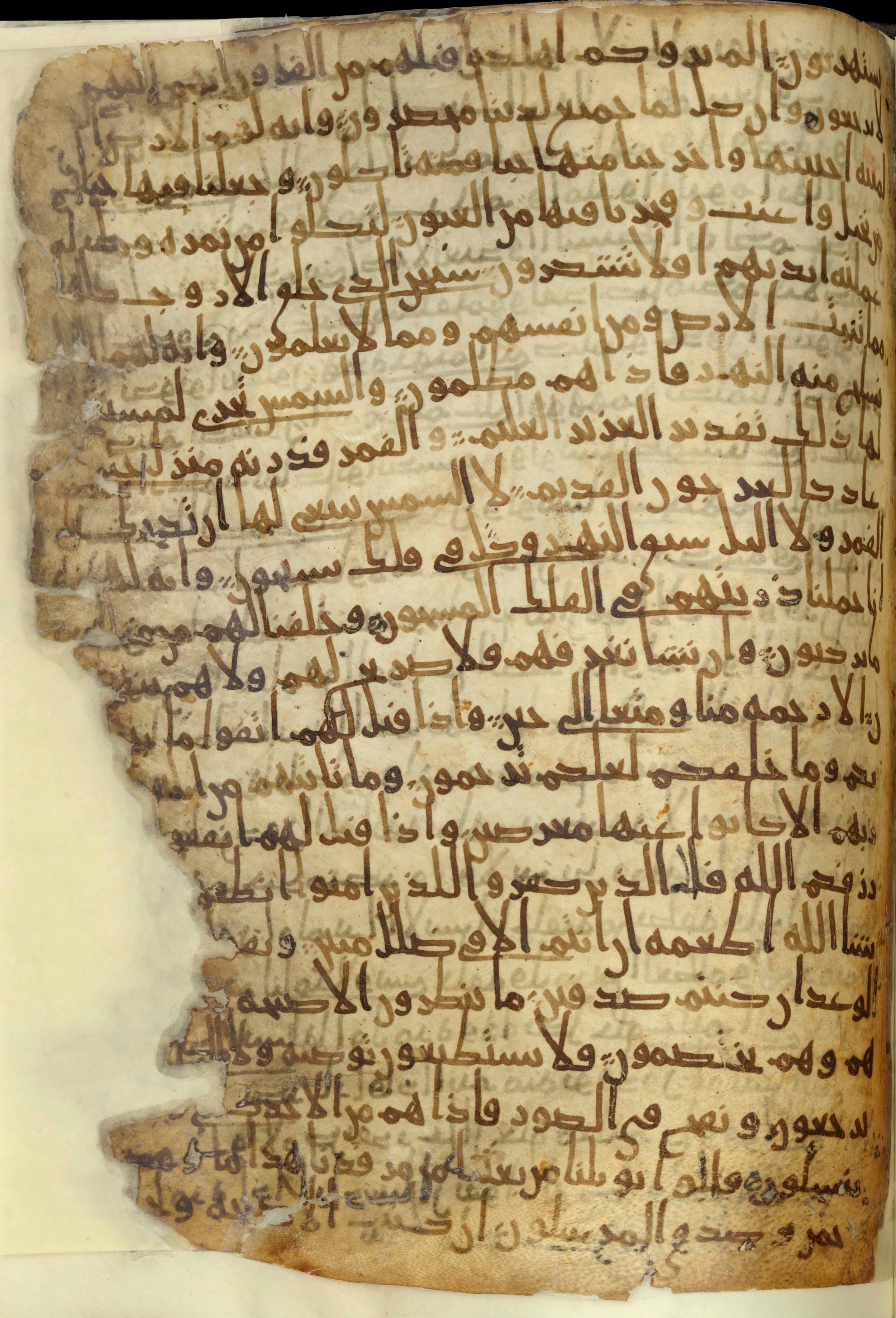 Chester Beatty Library Is 1615I, in Ḥiǧāzī script, showing Surah 36:49 from Late 7th to Early 8th Century AD found in Egypt, currently housed at Chester Beatty Library (Leabharlann Chester Beatty), Dublin