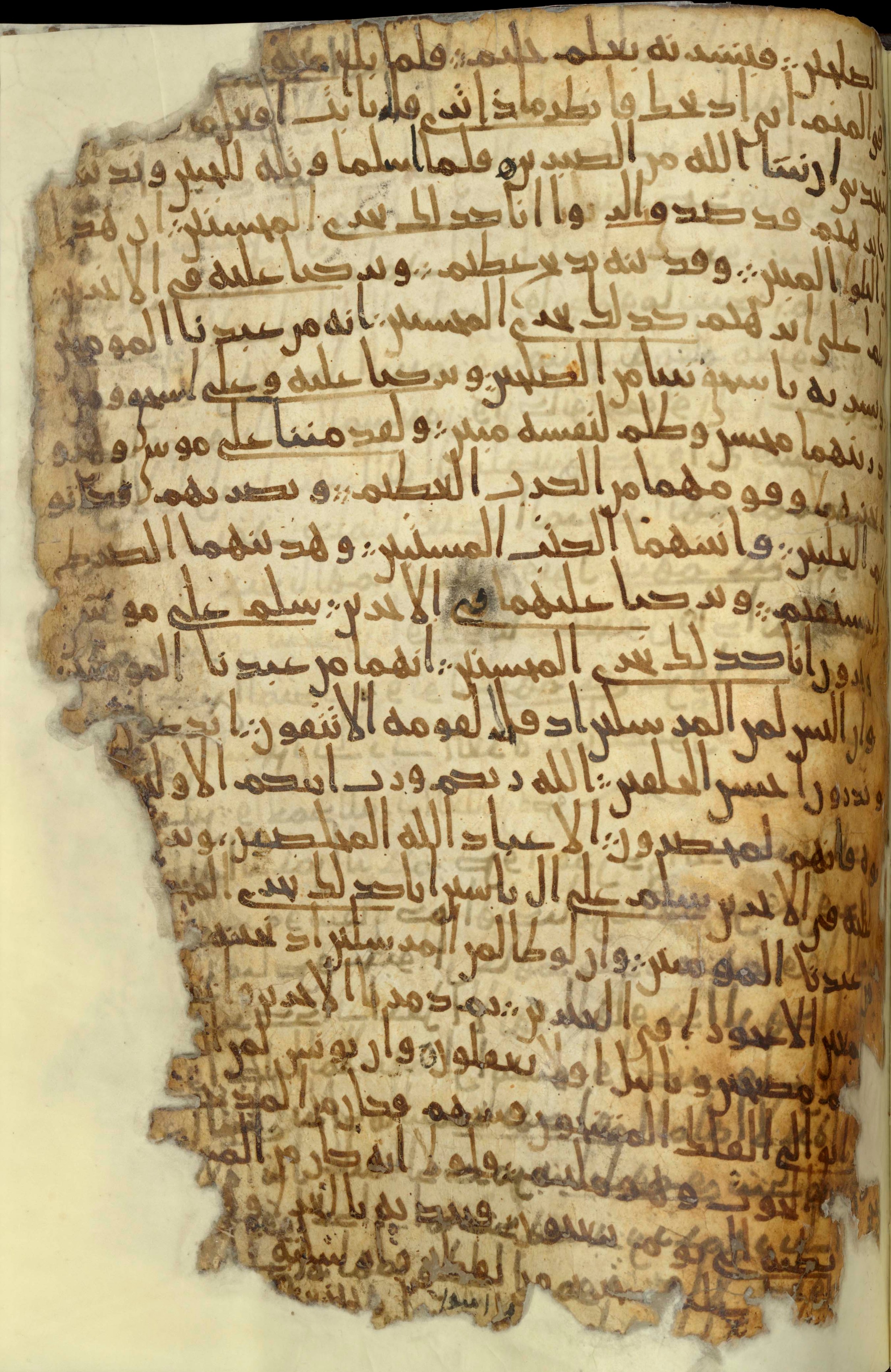 Chester Beatty Library Is 1615I, in Ḥiǧāzī script, showing Surah 37:113 from Late 7th to Early 8th Century AD found in Egypt, currently housed at Chester Beatty Library (Leabharlann Chester Beatty), Dublin