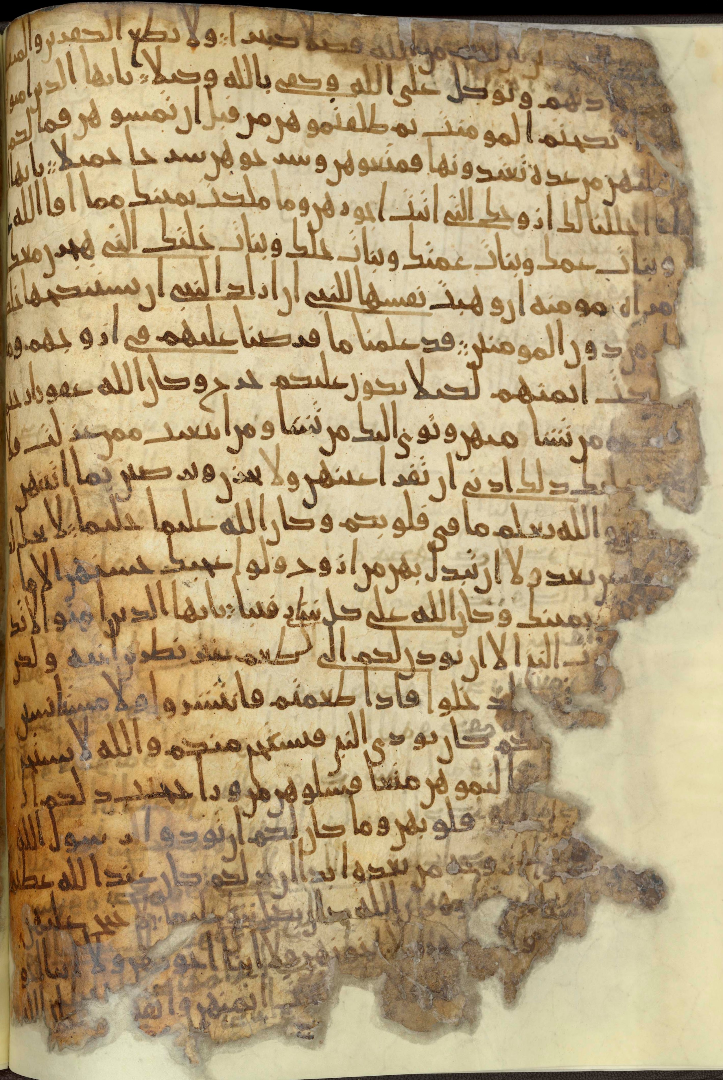 Chester Beatty Library Is 1615I, in Ḥiǧāzī script, showing Surah 33:49 from Late 7th to Early 8th Century AD found in Egypt, currently housed at Chester Beatty Library (Leabharlann Chester Beatty), Dublin