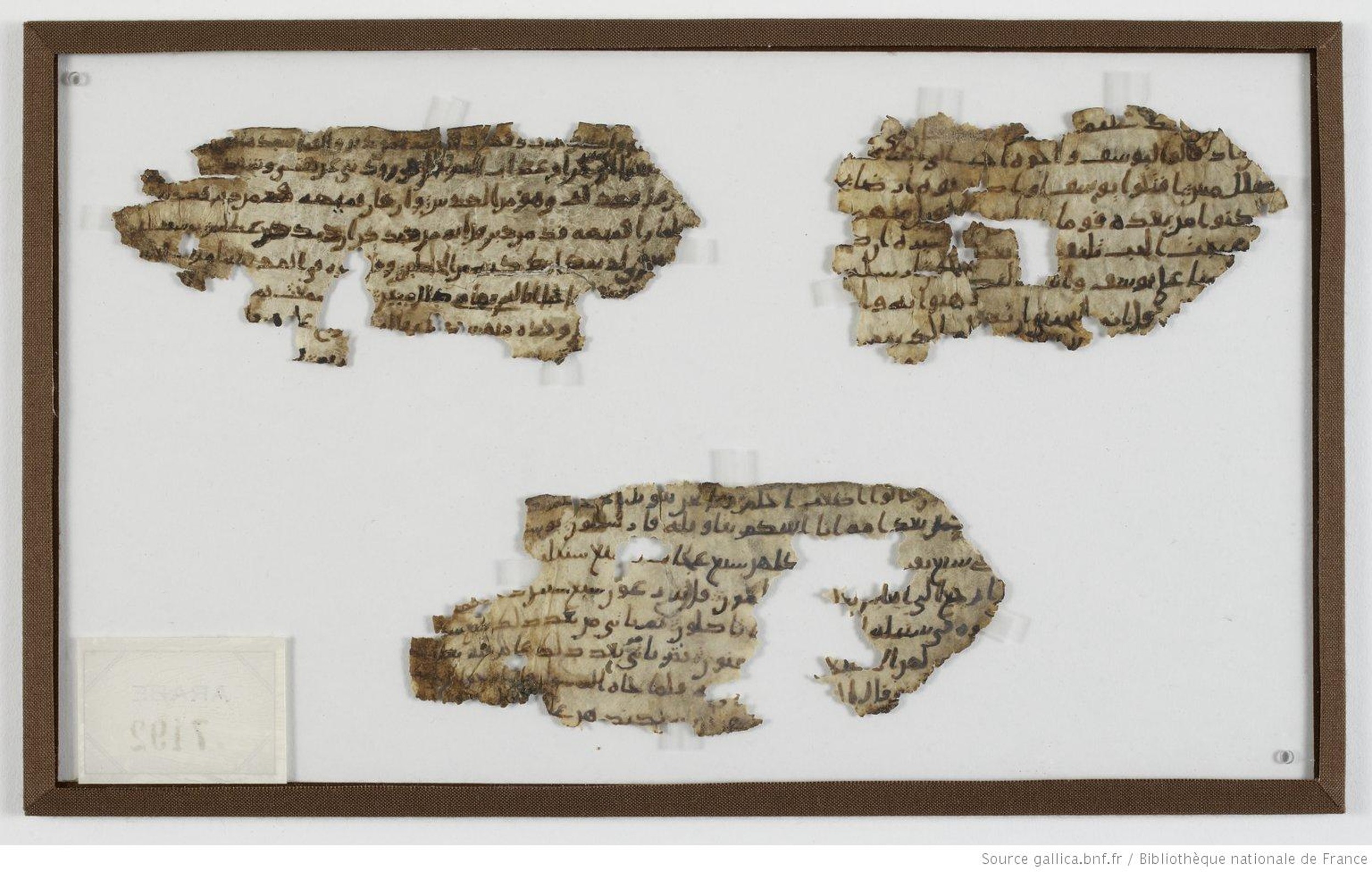 BNF Arabe 7192, in Ḥiǧāzī I script, showing Surah 12:13 from Before 750 AD found in Elephantine Island, Aswan, Egypt, currently housed at Bibliothèque nationale de France, Paris